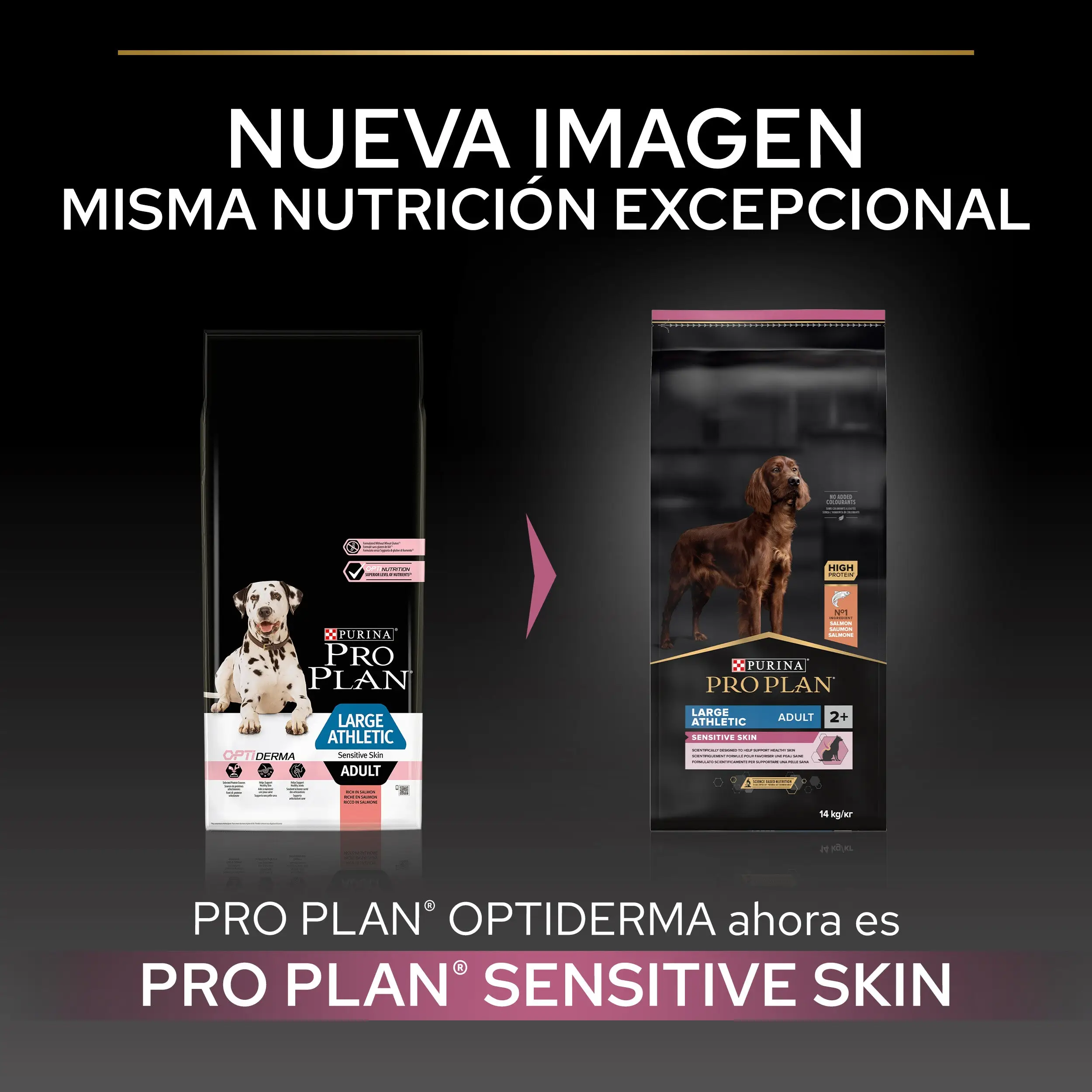 Pro Plan Dog Large Athletic Adult Skin Salmón 14 kg - Image 3