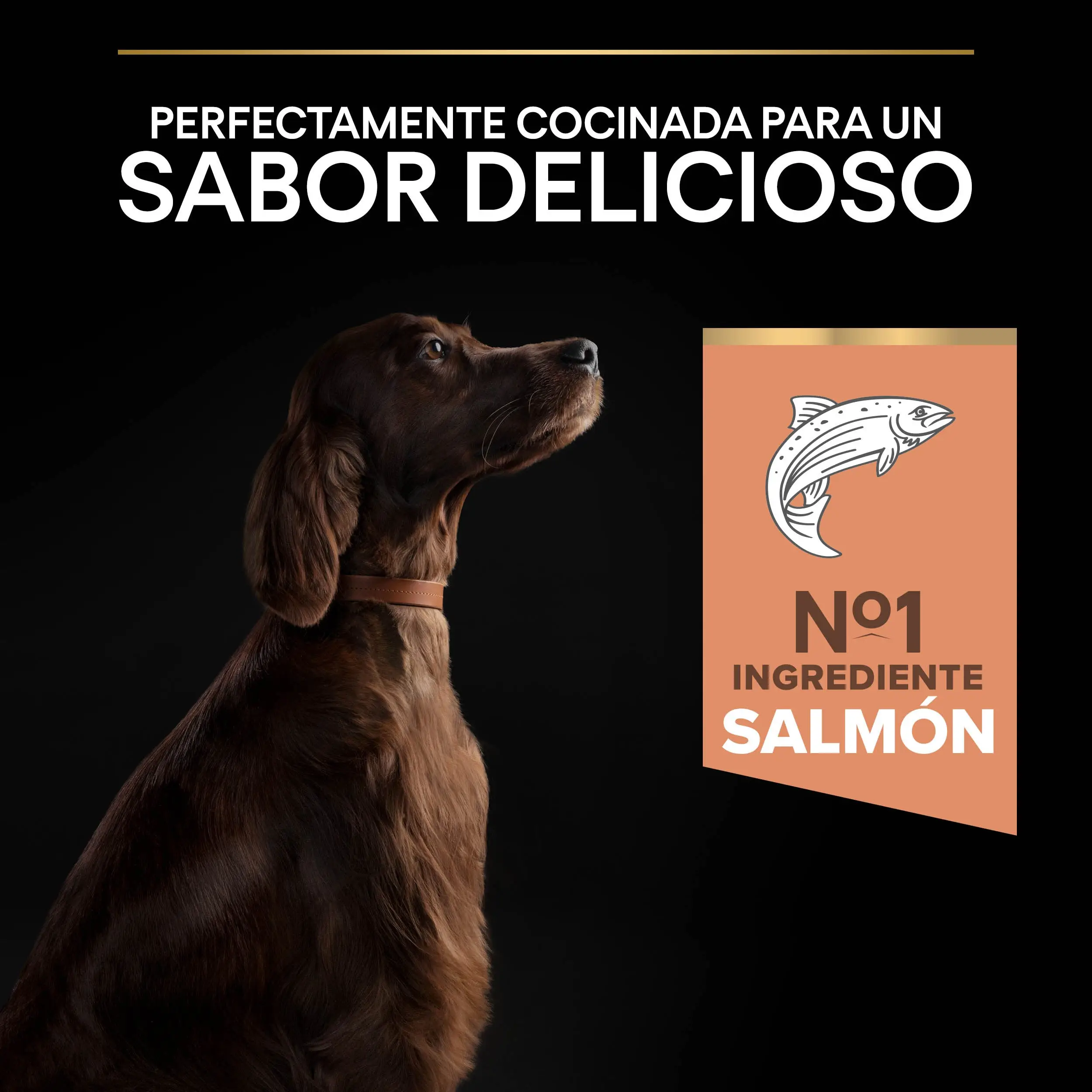 Pro Plan Dog Large Athletic Adult Skin Salmón 14 kg - Image 6