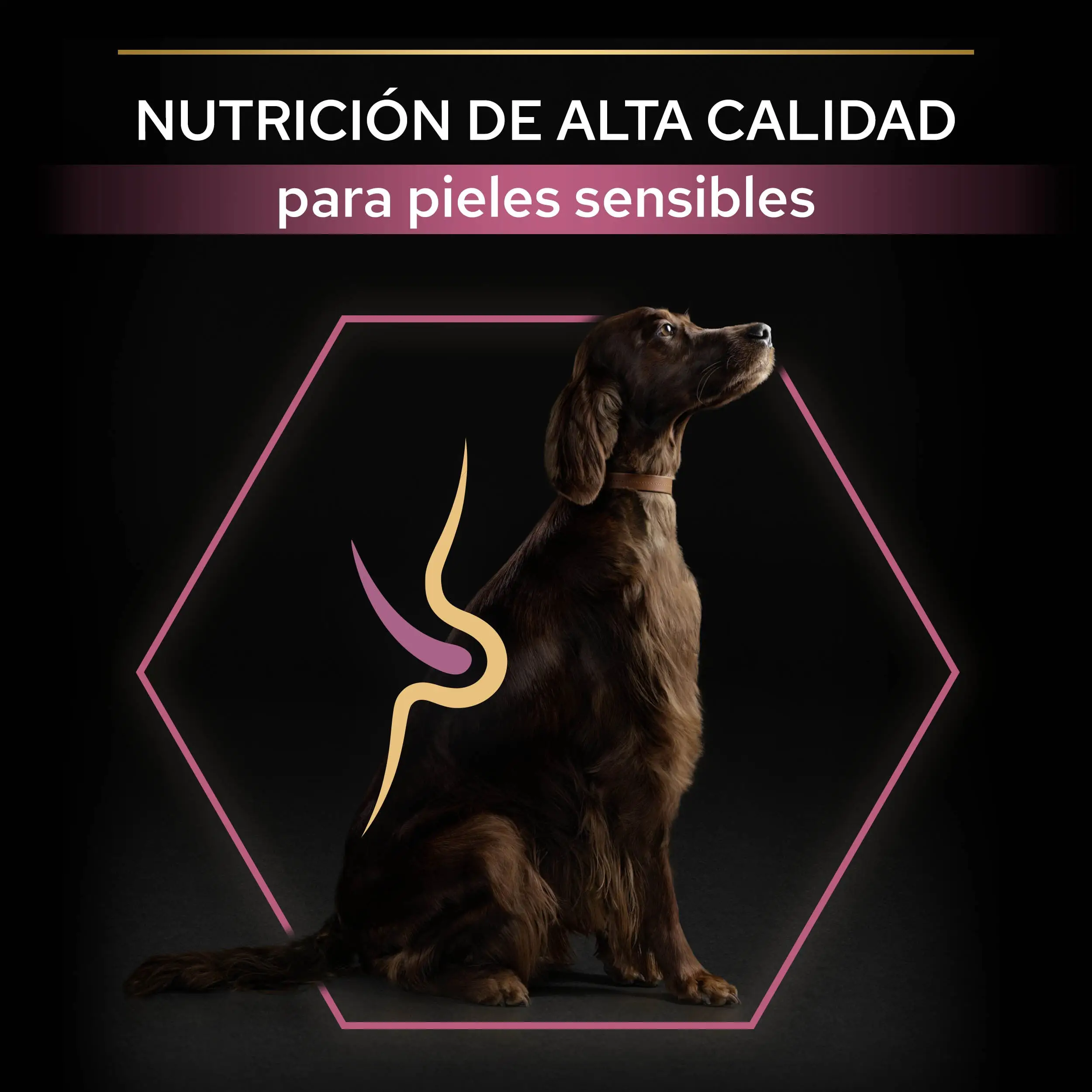 Pro Plan Dog Large Athletic Adult Skin Salmón 14 kg - Image 7