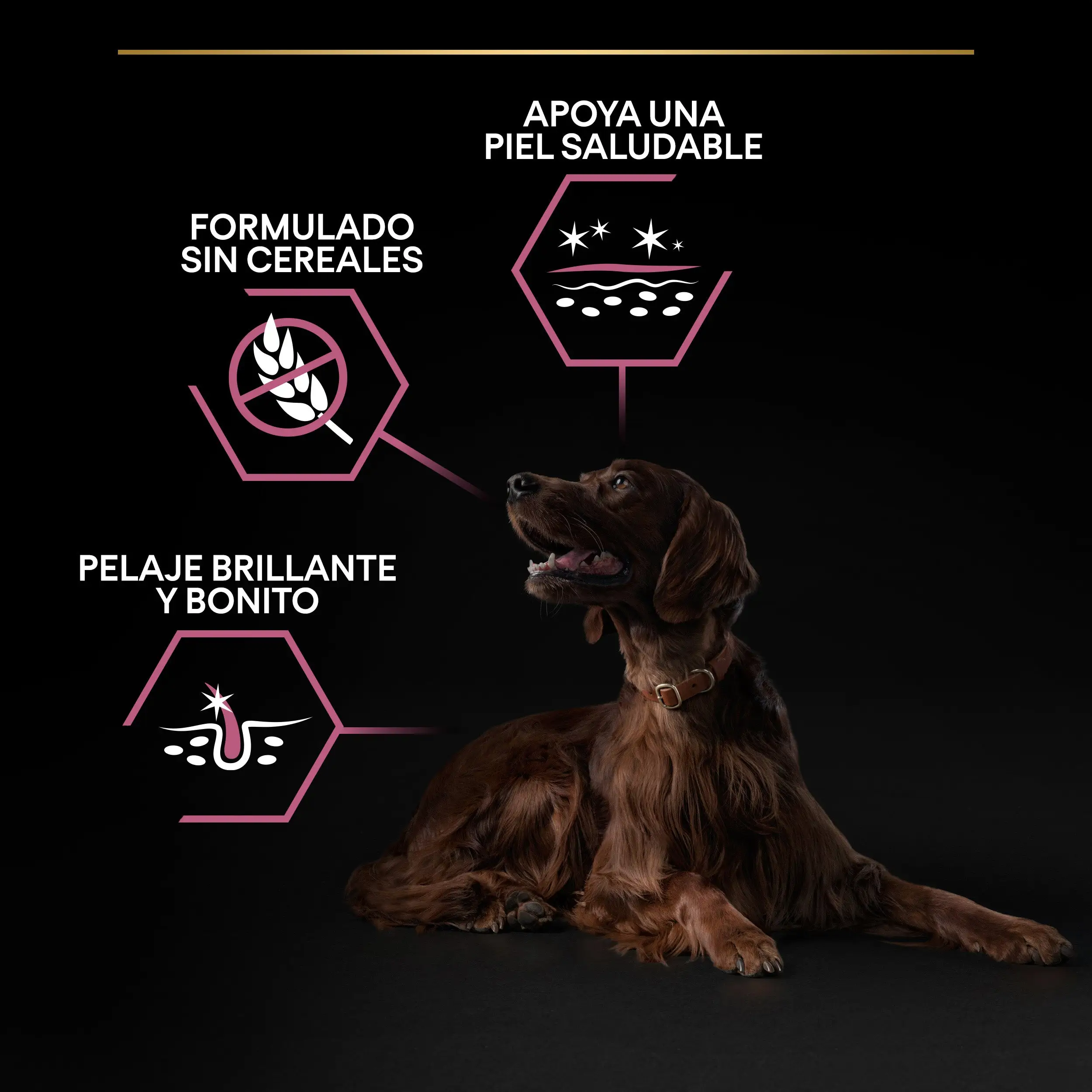 Pro Plan Dog Large Athletic Adult Skin Salmón 14 kg - Image 9