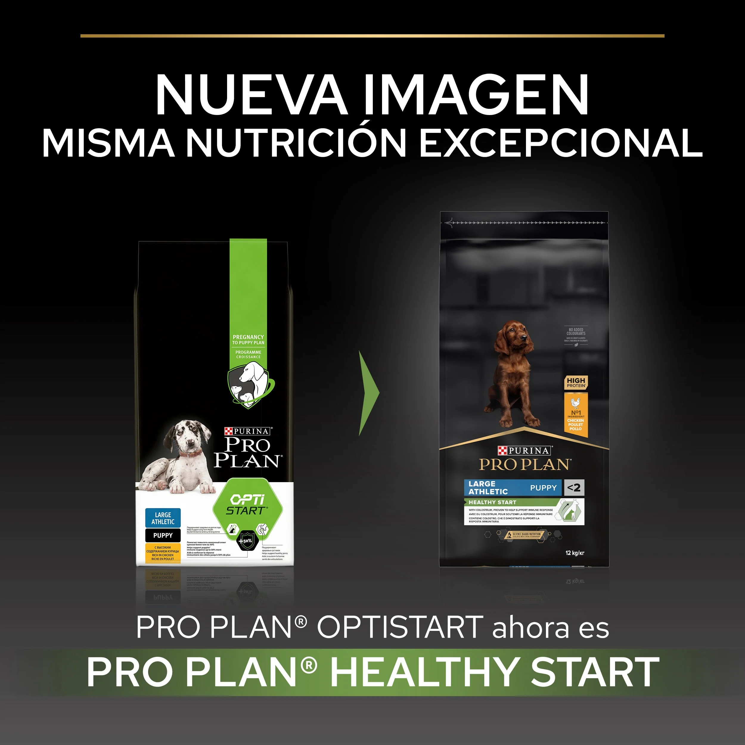 Pro Plan Dog Large Athletic Puppy Start Pollo Pienso para Cachorros - Image 3