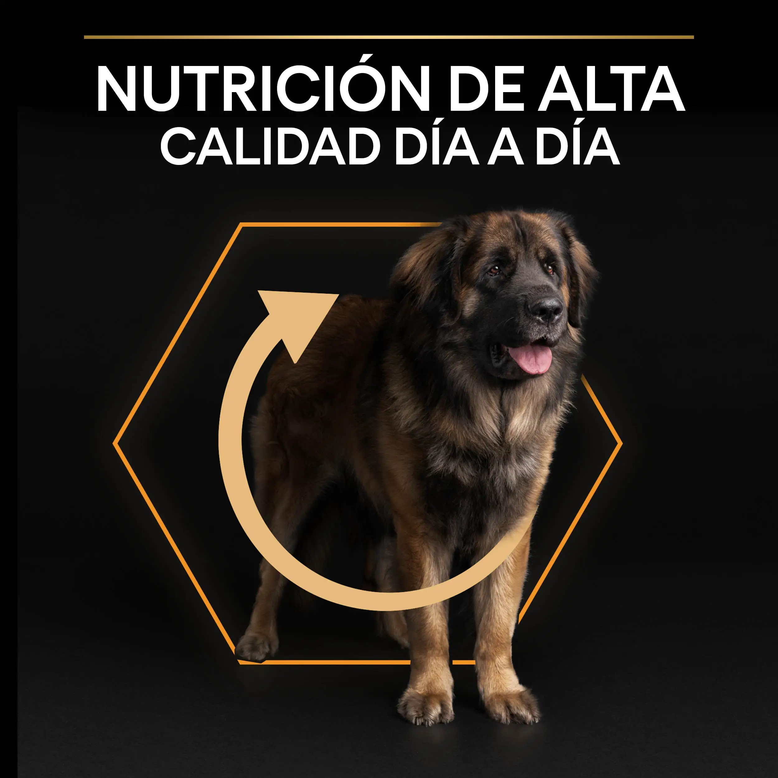 Pro Plan Dog Large Robust Adult Pollo 14 kg+2,5 kg gratis - Image 10