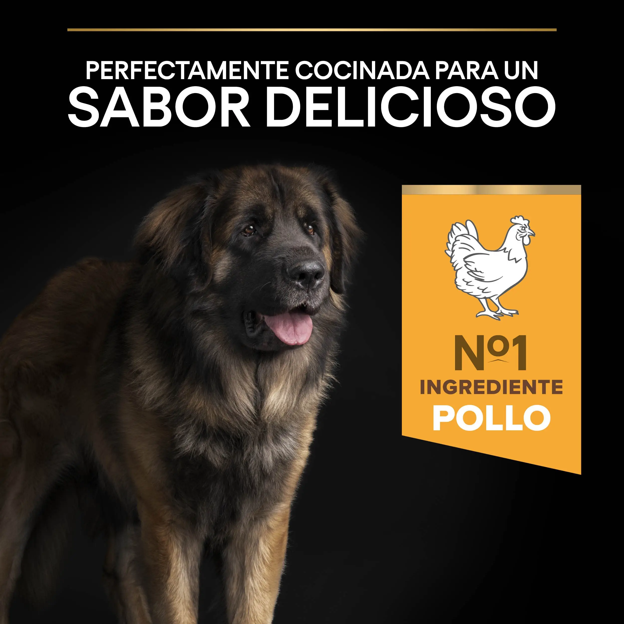 Pro Plan Dog Large Robust Adult Pollo 14 kg+2,5 kg gratis - Image 9