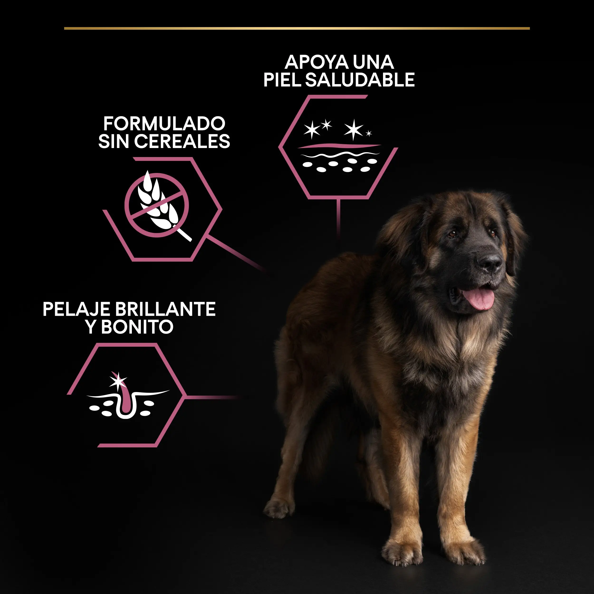 Pro Plan Dog Large Robust Adult Skin Salmón 14 kg - Image 10