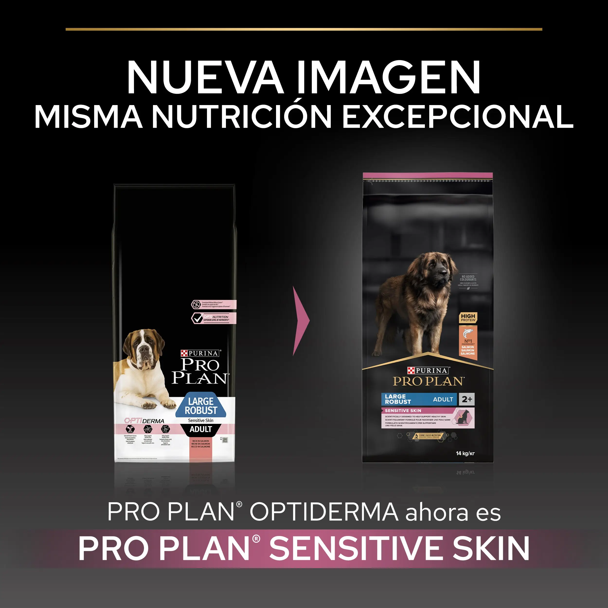 Pro Plan Dog Large Robust Adult Skin Salmón 14 kg - Image 3