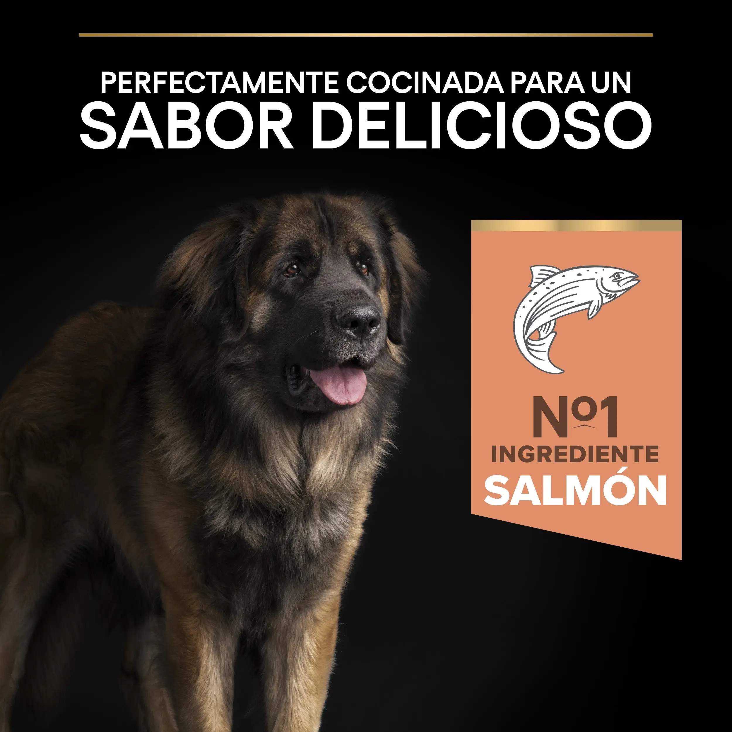 Pro Plan Dog Large Robust Adult Skin Salmón 14 kg - Image 7