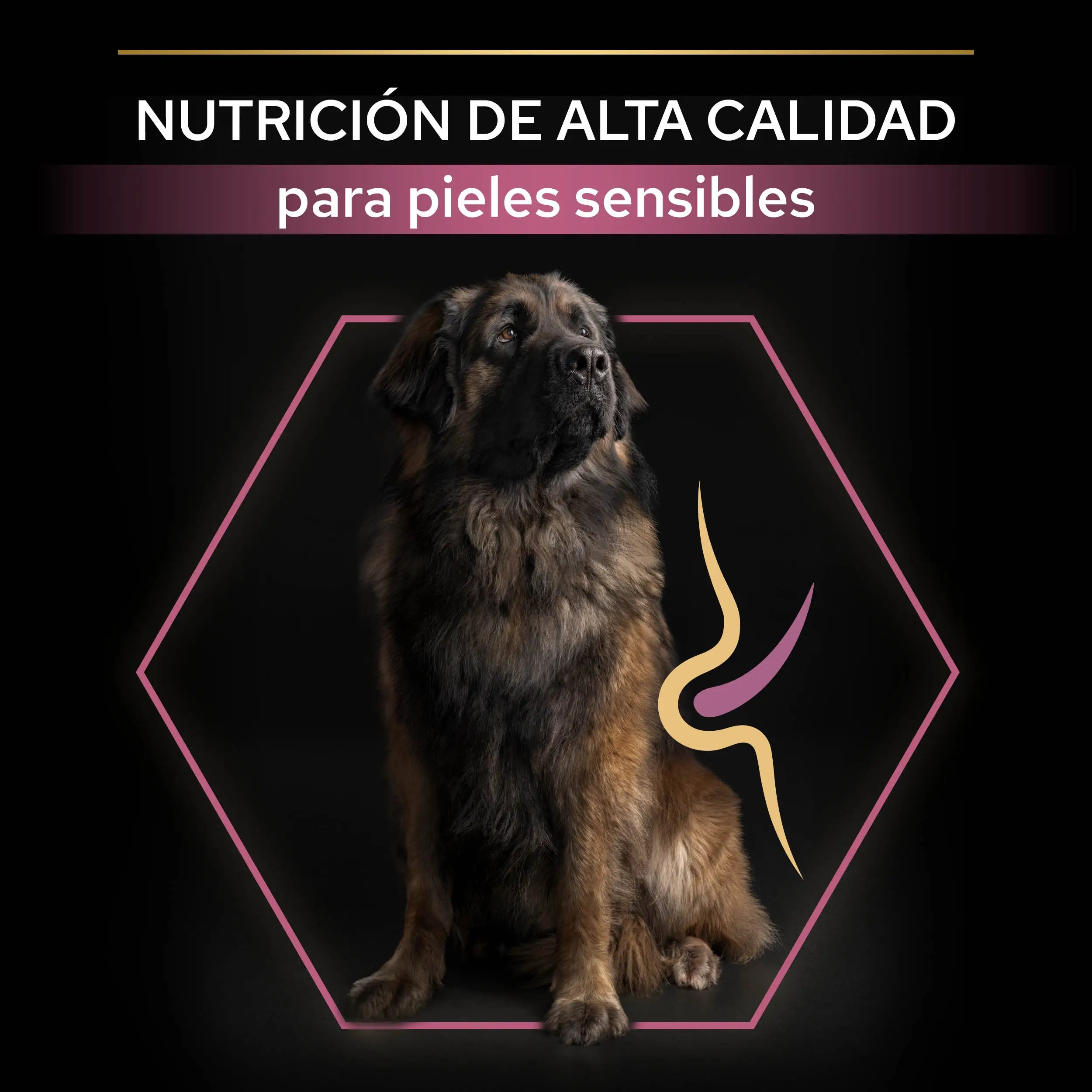 Pro Plan Dog Large Robust Adult Skin Salmón 14 kg - Image 8