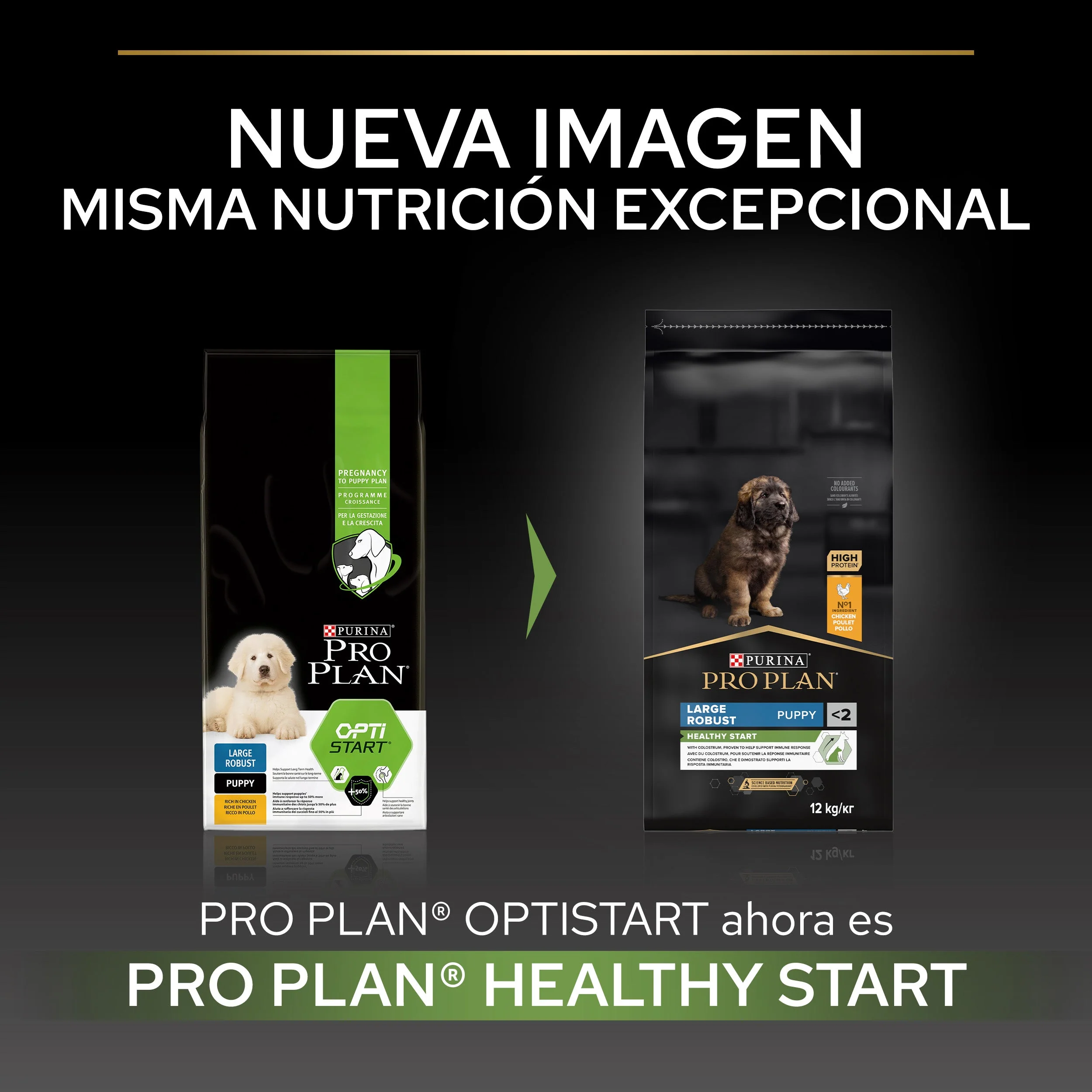 Pro Plan Dog Large Robust Puppy Start Pollo Pienso para Cachorros - Image 3