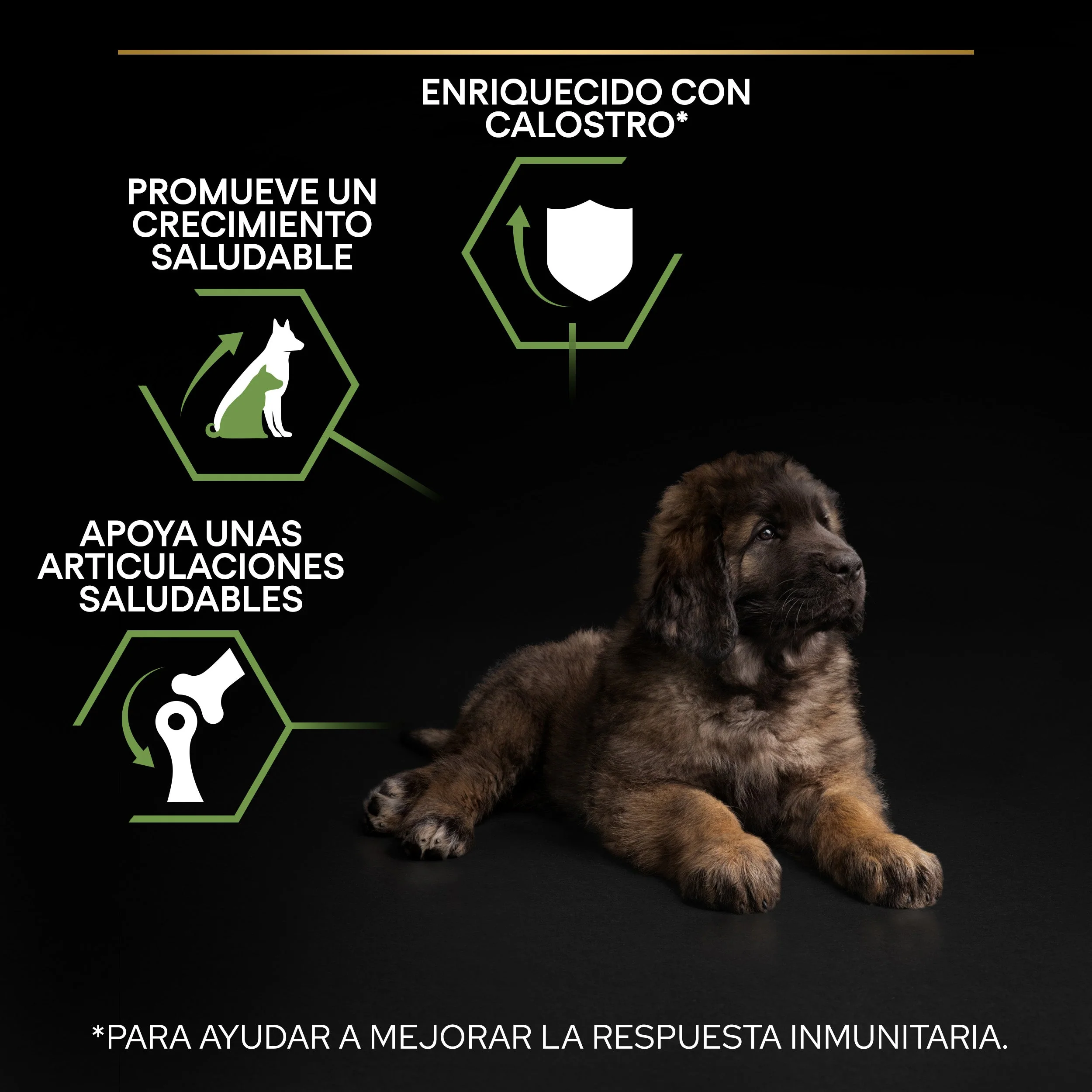 Pro Plan Dog Large Robust Puppy Start Pollo Pienso para Cachorros - Image 6