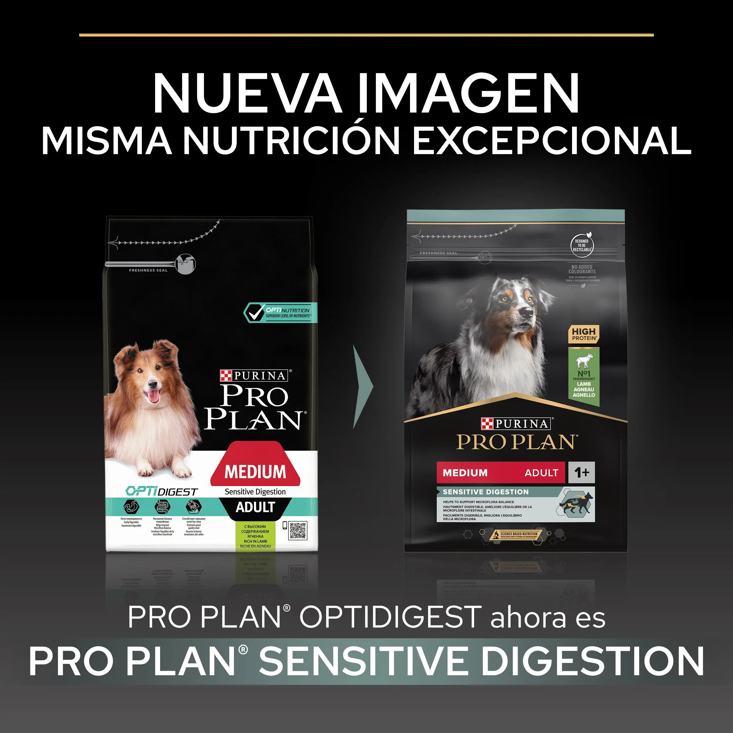Pro Plan Dog Medium Adult Digest Cordero Pienso para Perros - Image 3