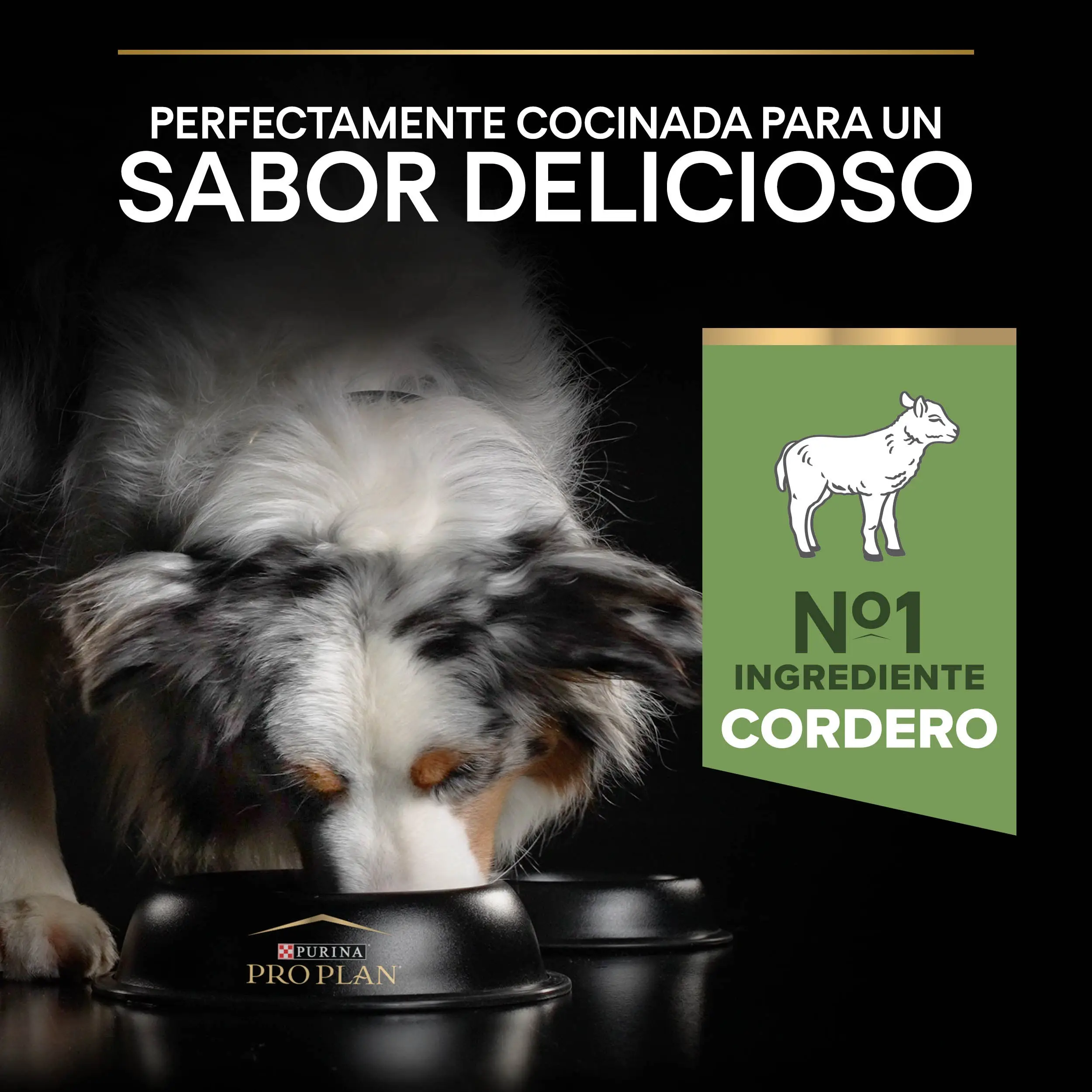 Pro Plan Dog Medium Adult Digest Cordero Pienso para Perros - Image 5