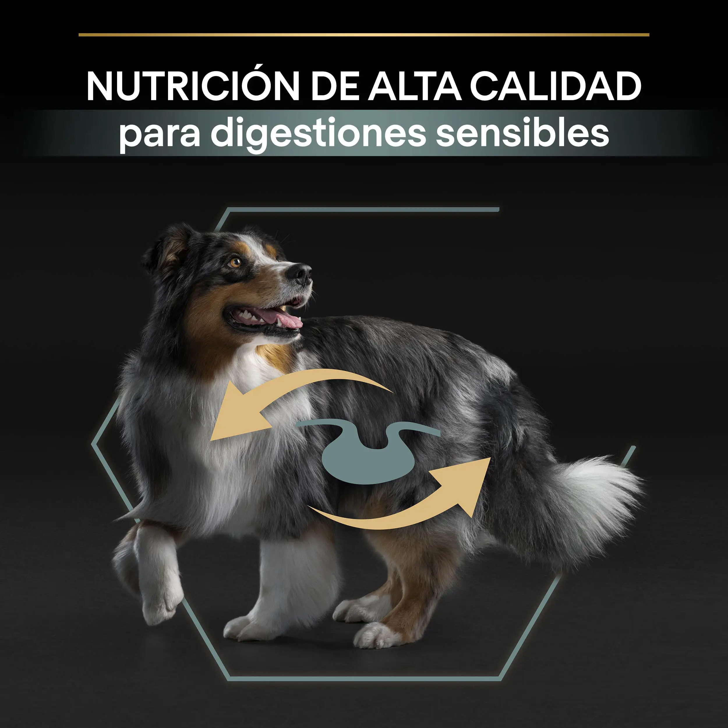 Pro Plan Dog Medium Adult Digest Cordero Pienso para Perros - Image 6