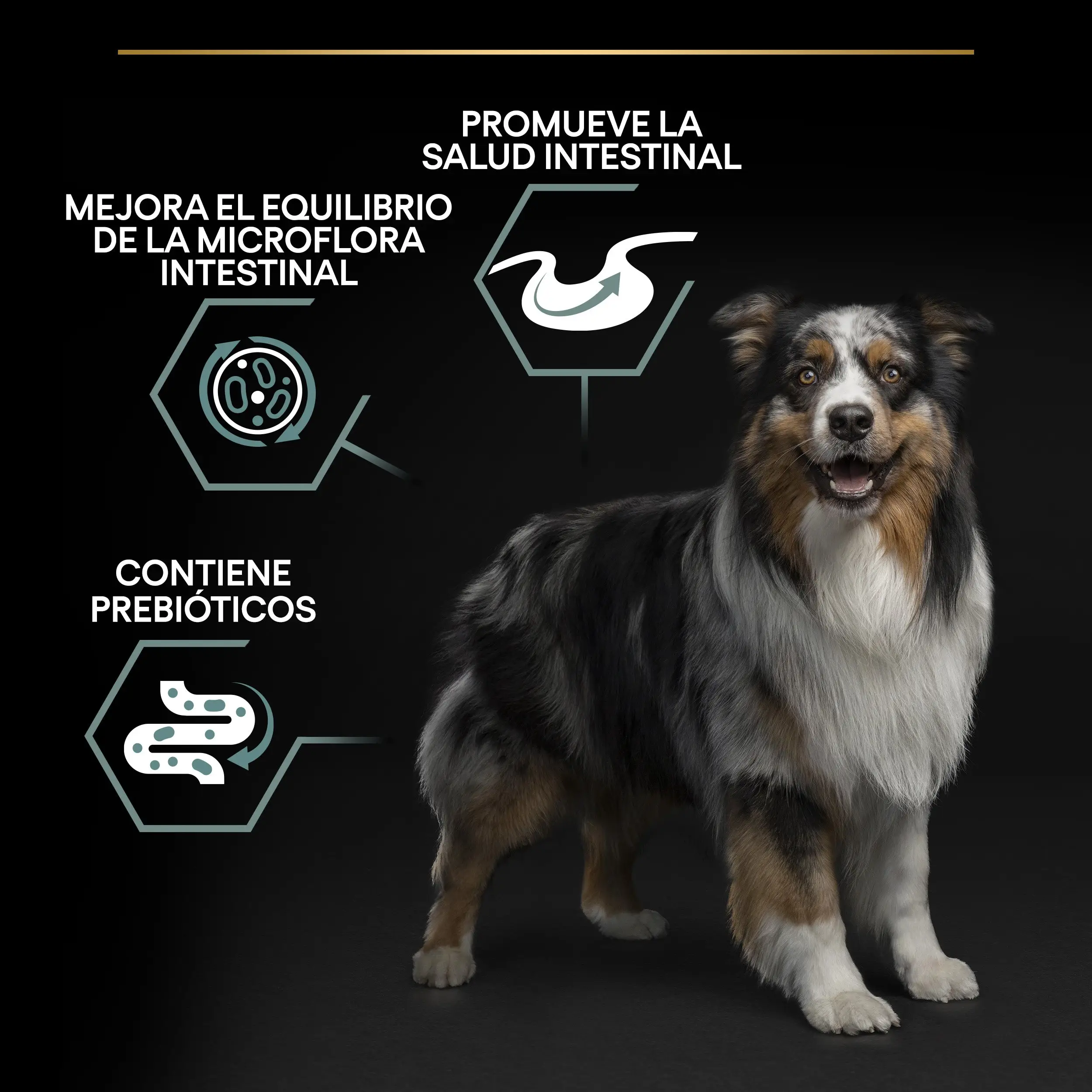 Pro Plan Dog Medium Adult Digest Cordero Pienso para Perros - Image 8