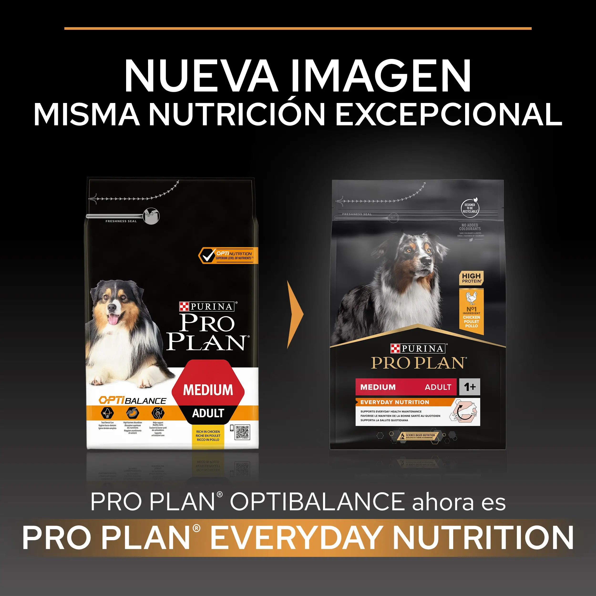 Pro Plan Dog Medium Adult Pollo 14 kg - Image 3