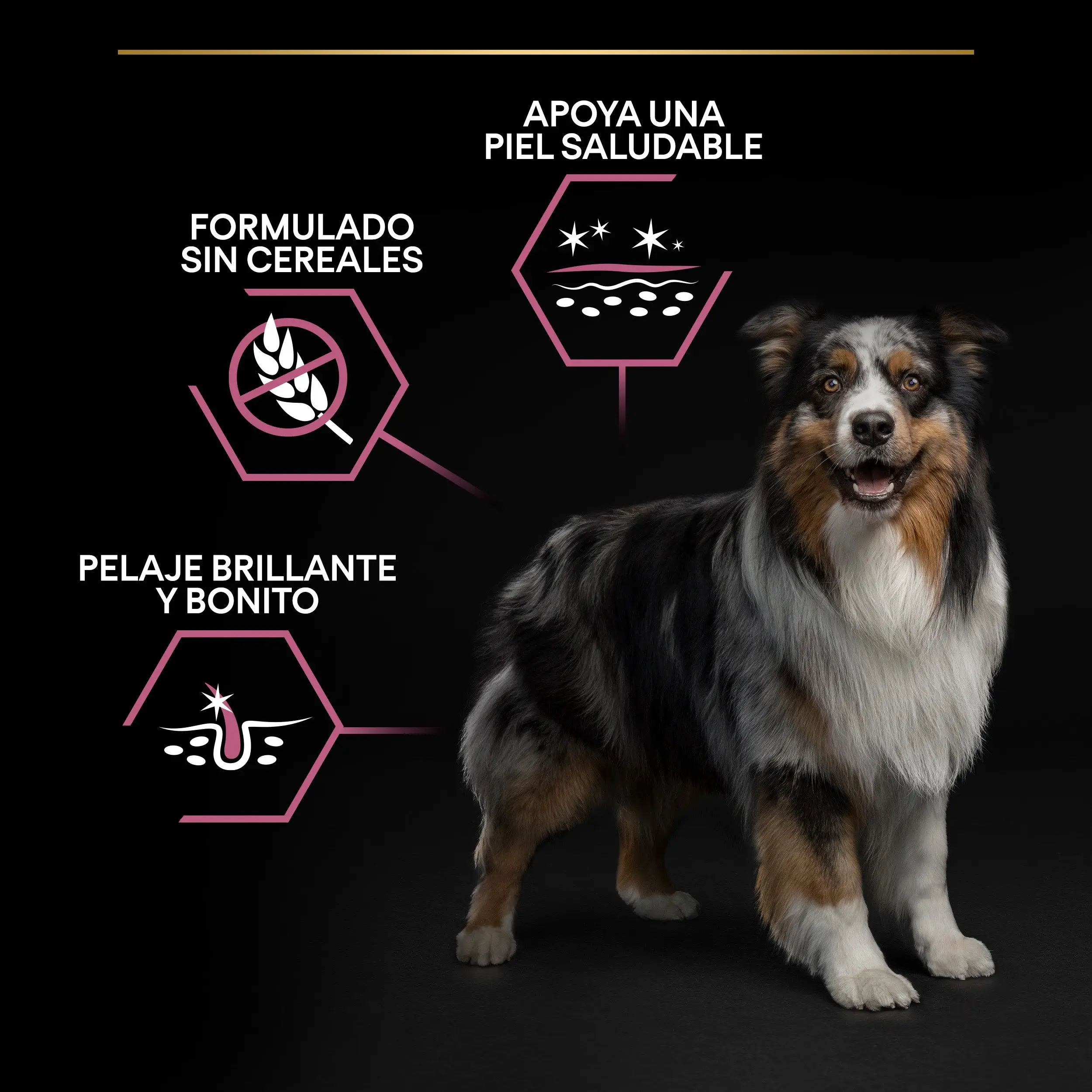 Pro Plan Dog Medium Adult Sensitive Skin Salmón - Image 10