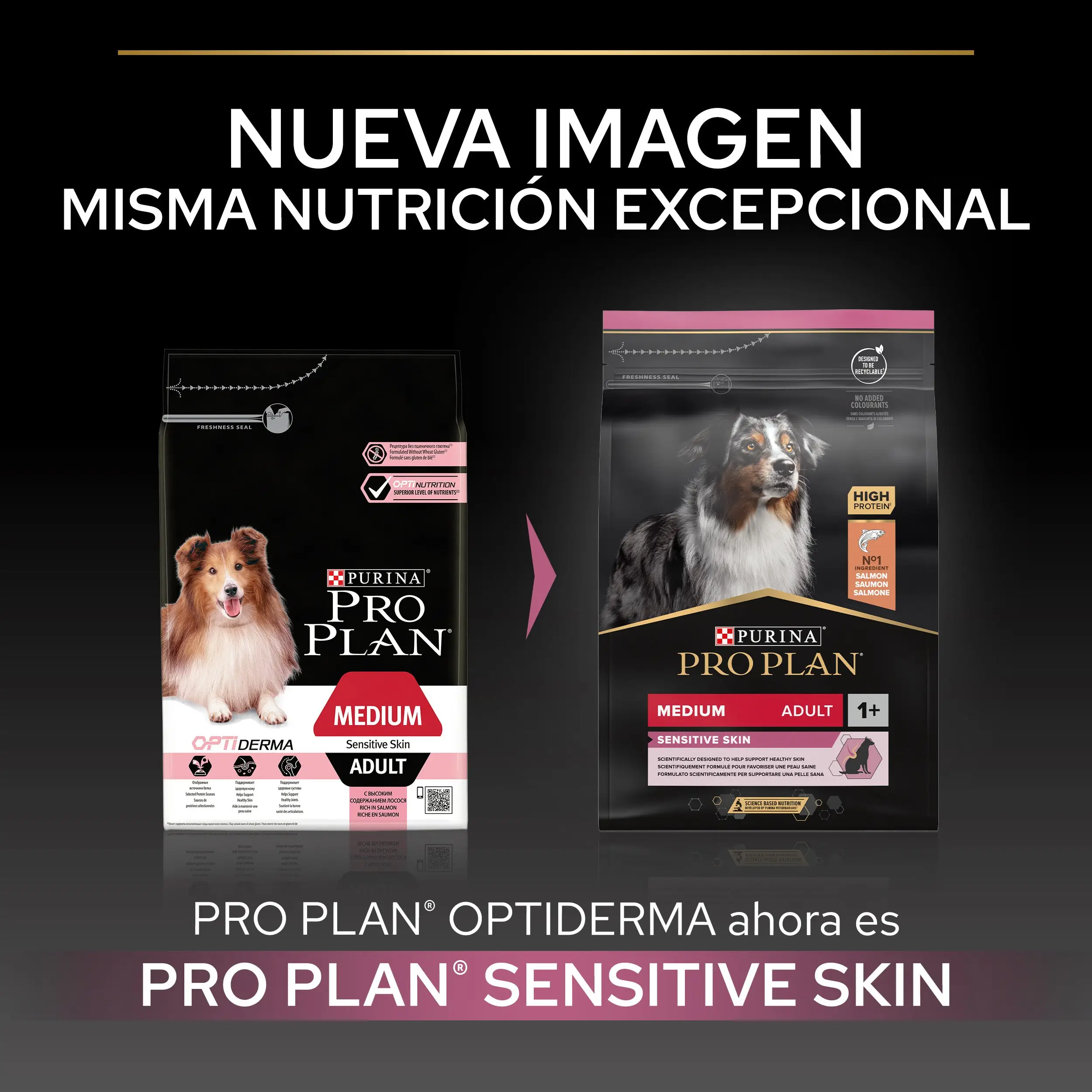 Pro Plan Dog Medium Adult Sensitive Skin Salmón - Image 4