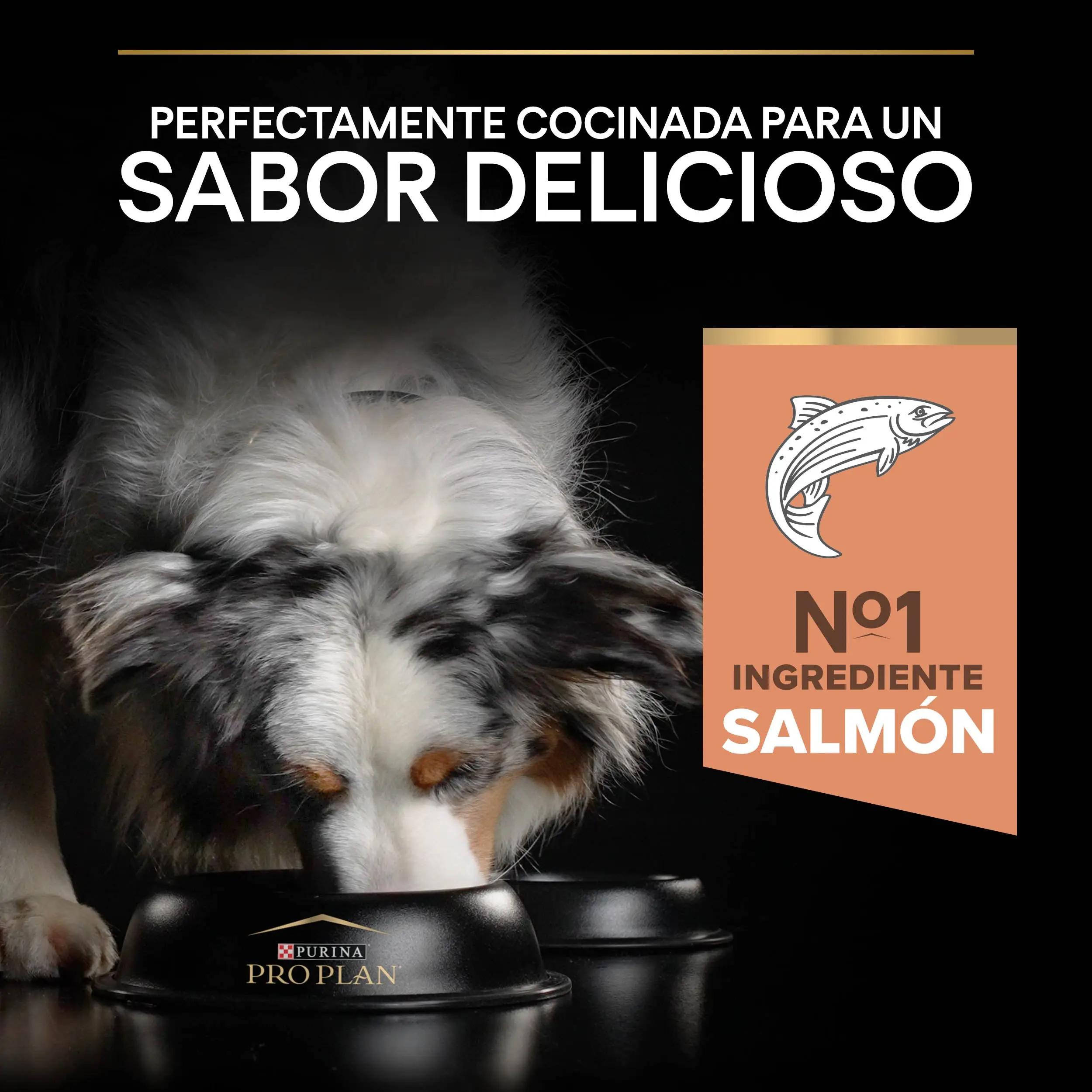 Pro Plan Dog Medium Adult Sensitive Skin Salmón - Image 6