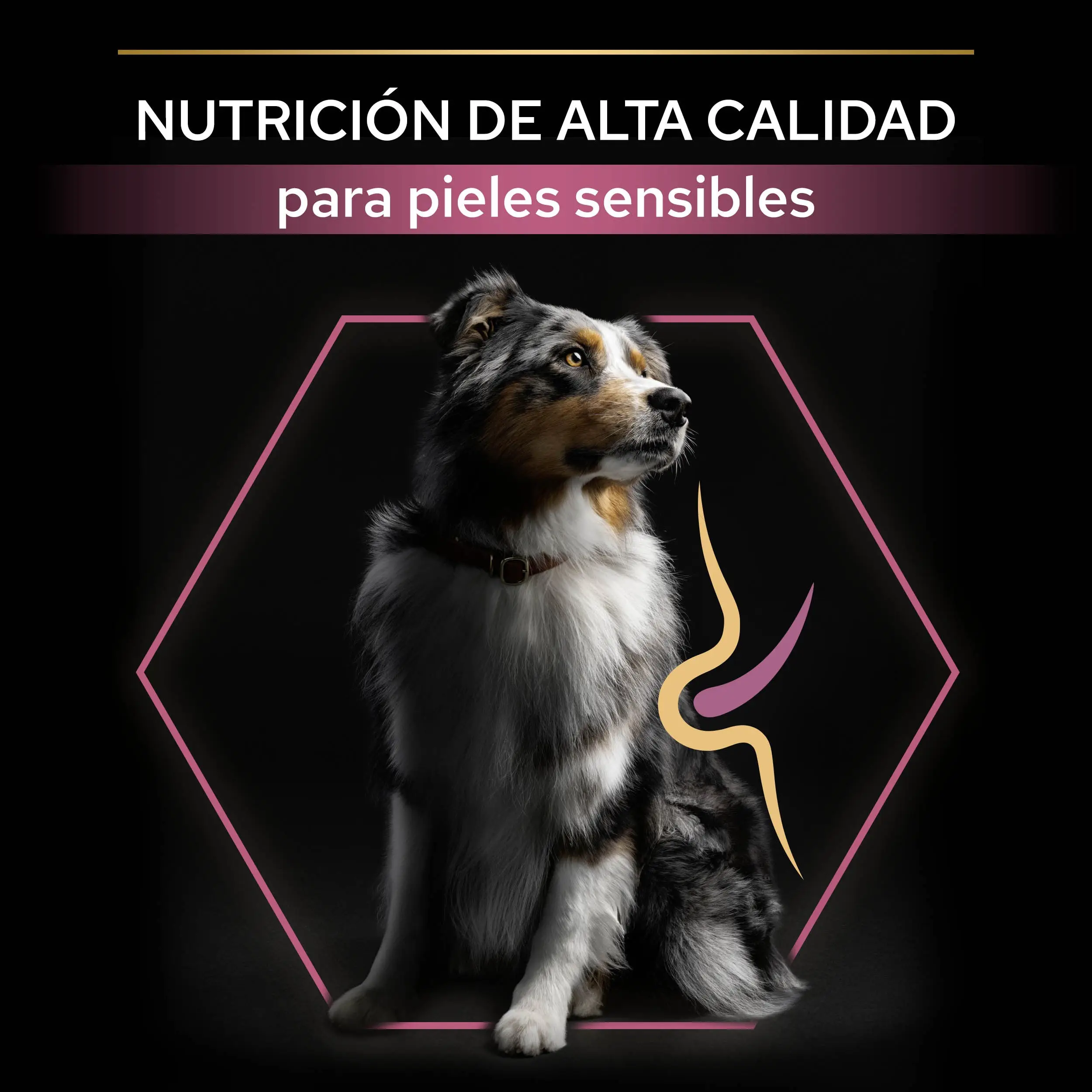 Pro Plan Dog Medium Adult Sensitive Skin Salmón - Image 7