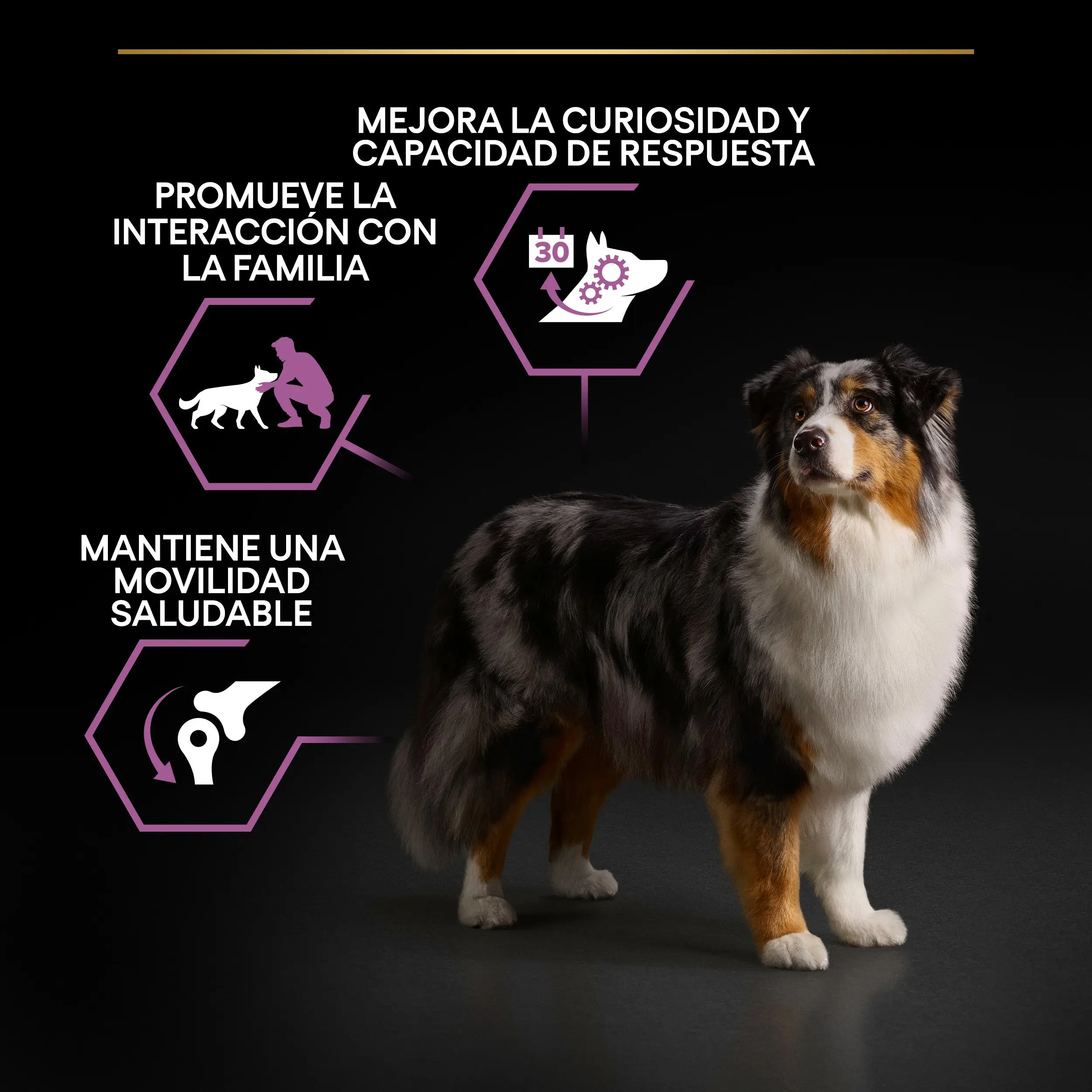 Pro Plan Dog Medium Y Large Adult Agedefen7+ Pollo 3 kg - Image 4