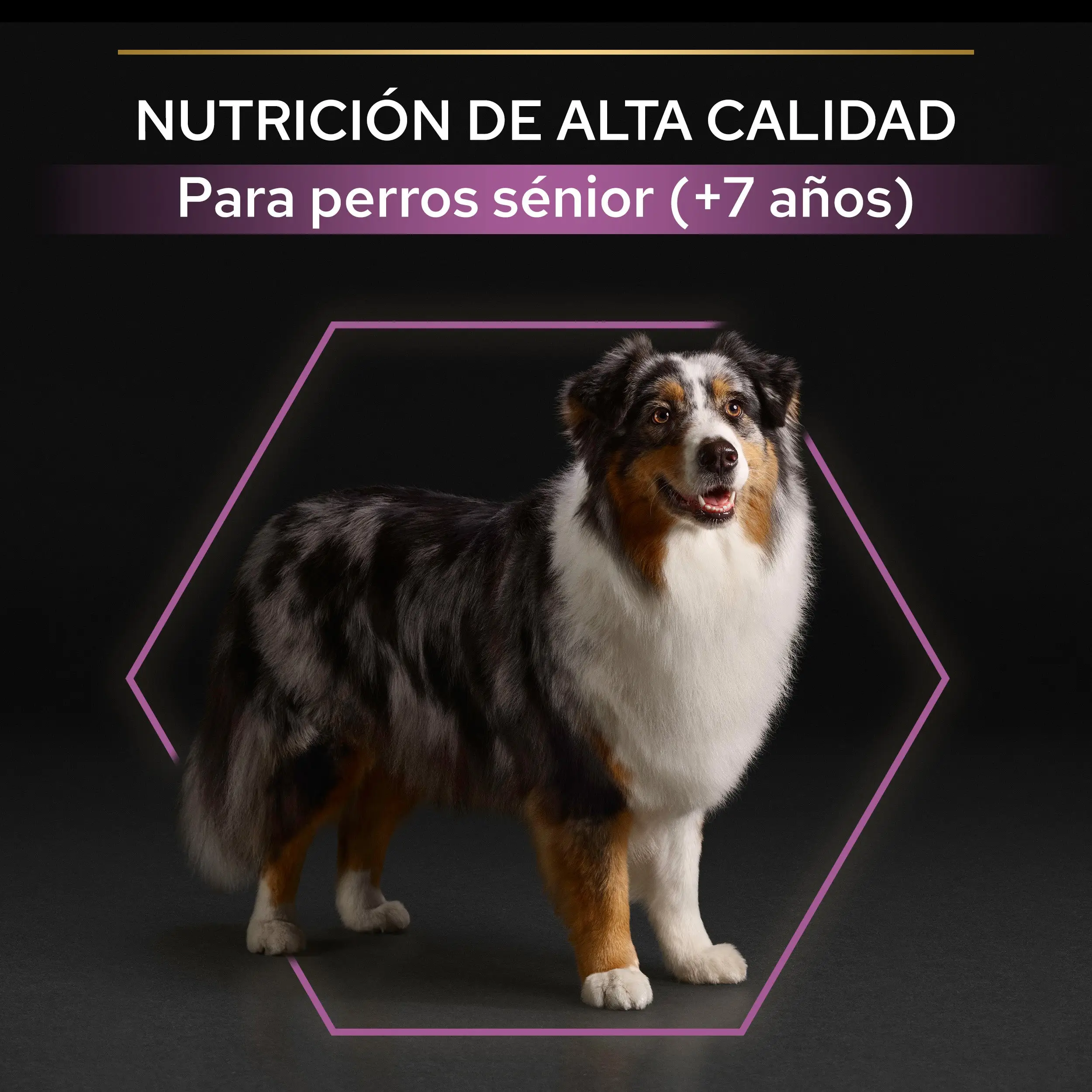 Pro Plan Dog Medium Y Large Adult Agedefen7+ Pollo 3 kg - Image 9