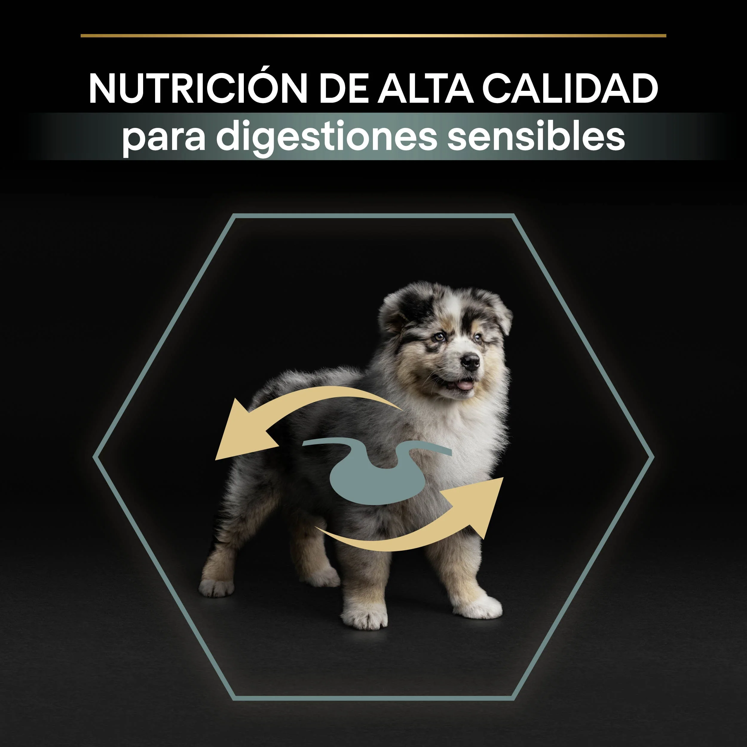 Pro Plan Dog Medium Puppy Digest Cordero Pienso para Cachorros - Image 4