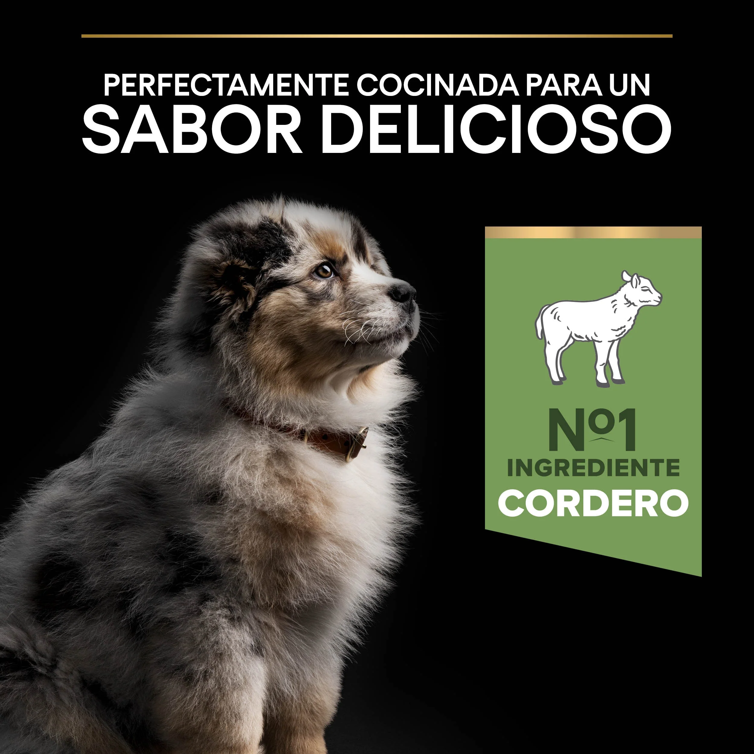 Pro Plan Dog Medium Puppy Digest Cordero Pienso para Cachorros - Image 6