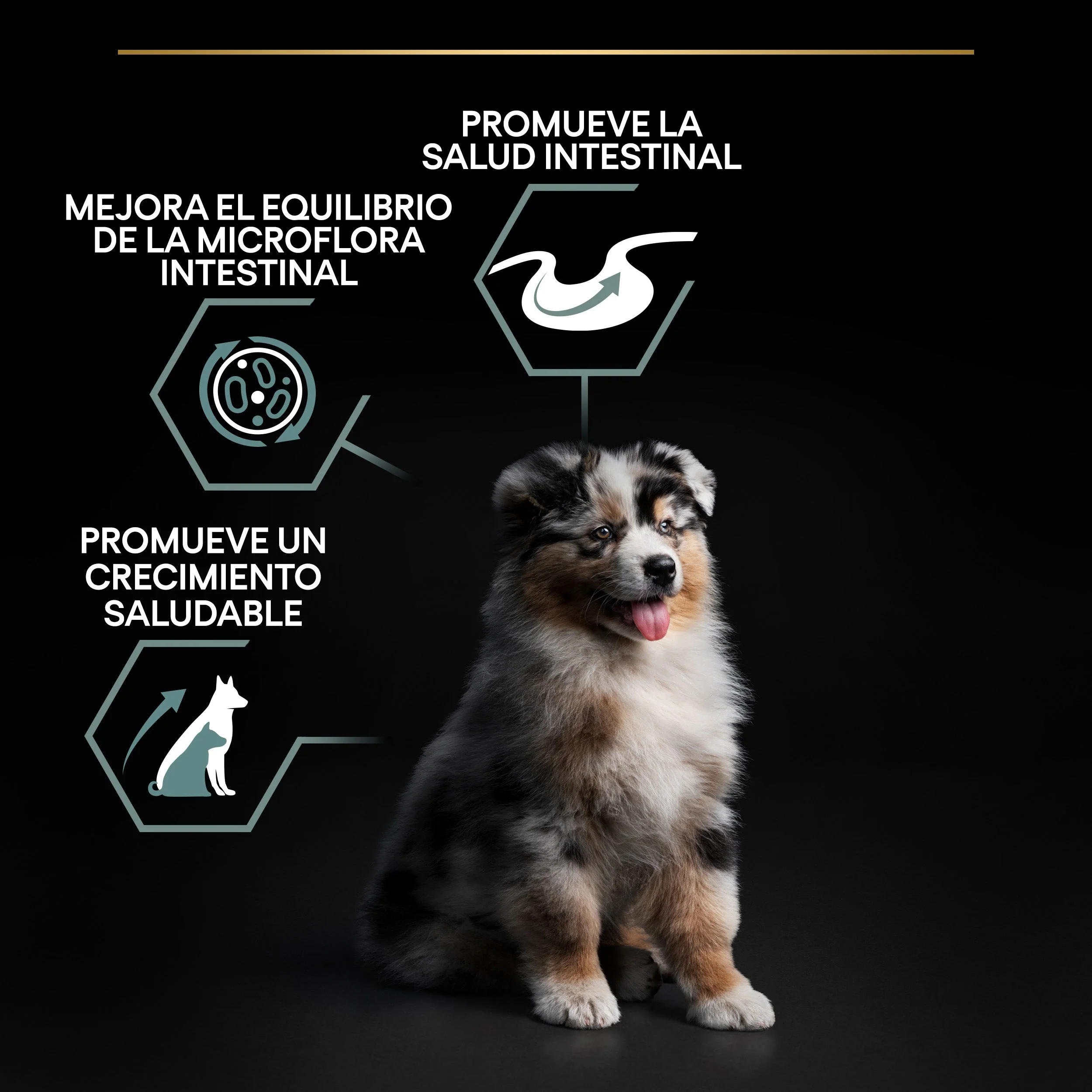 Pro Plan Dog Medium Puppy Digest Cordero Pienso para Cachorros - Image 7
