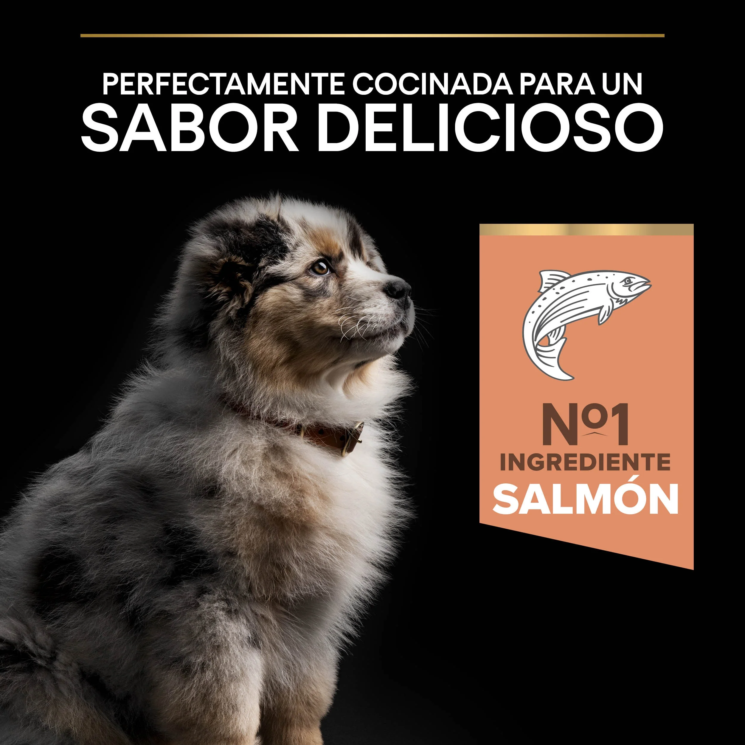 Pro Plan Dog Medium Puppy Sensitive Skin Salmón Pienso para Perros - Image 4