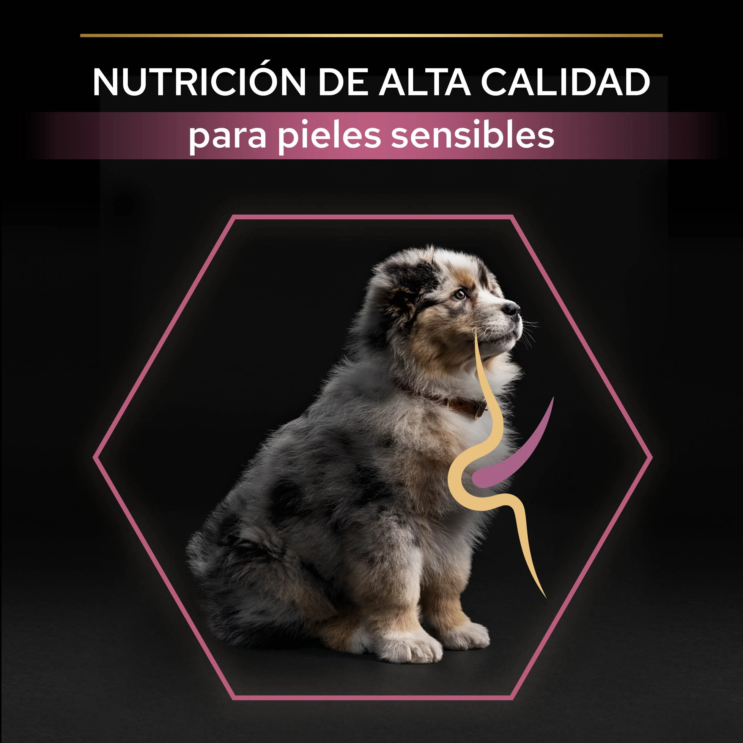 Pro Plan Dog Medium Puppy Sensitive Skin Salmón Pienso para Perros - Image 5
