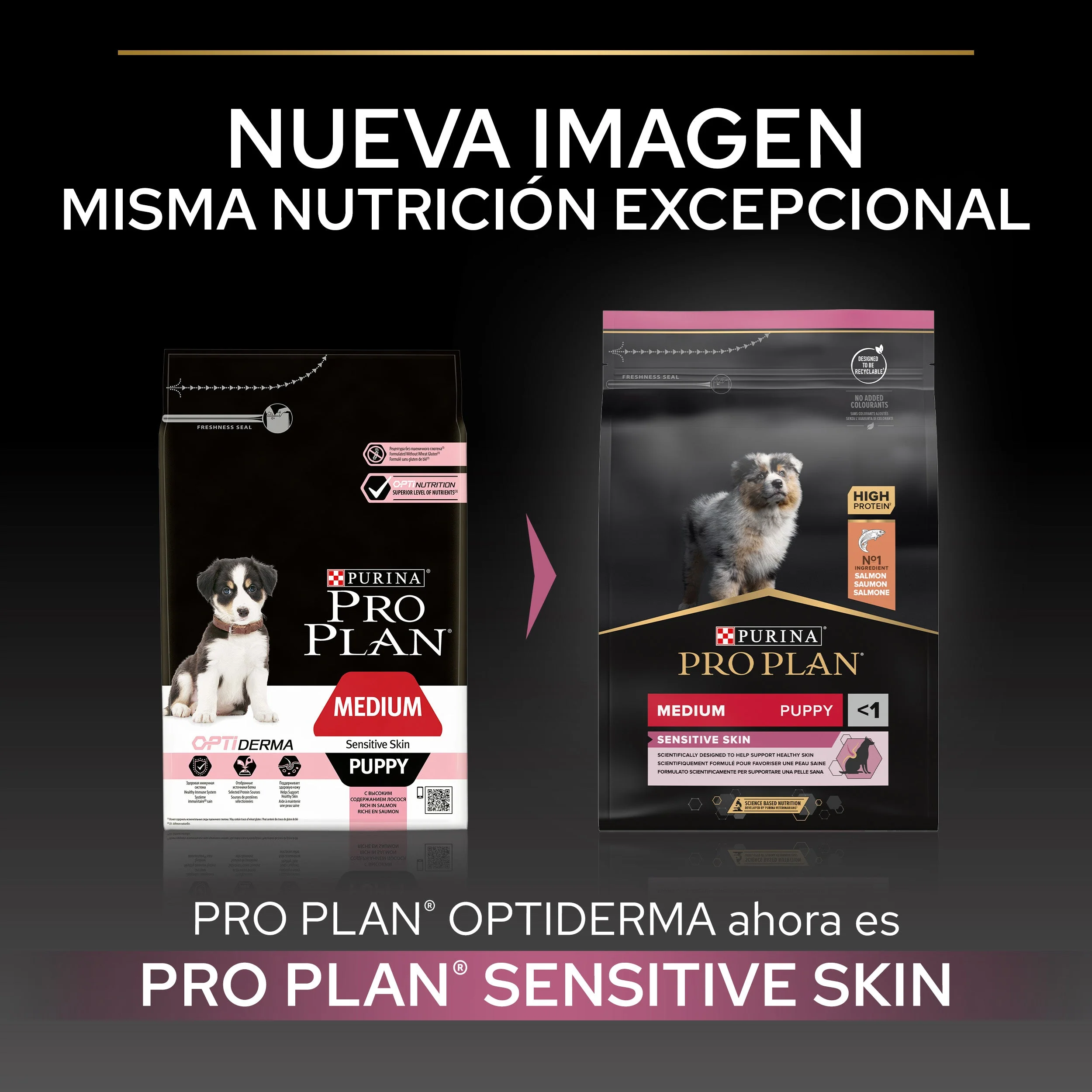 Pro Plan Dog Medium Puppy Sensitive Skin Salmón Pienso para Perros - Image 7