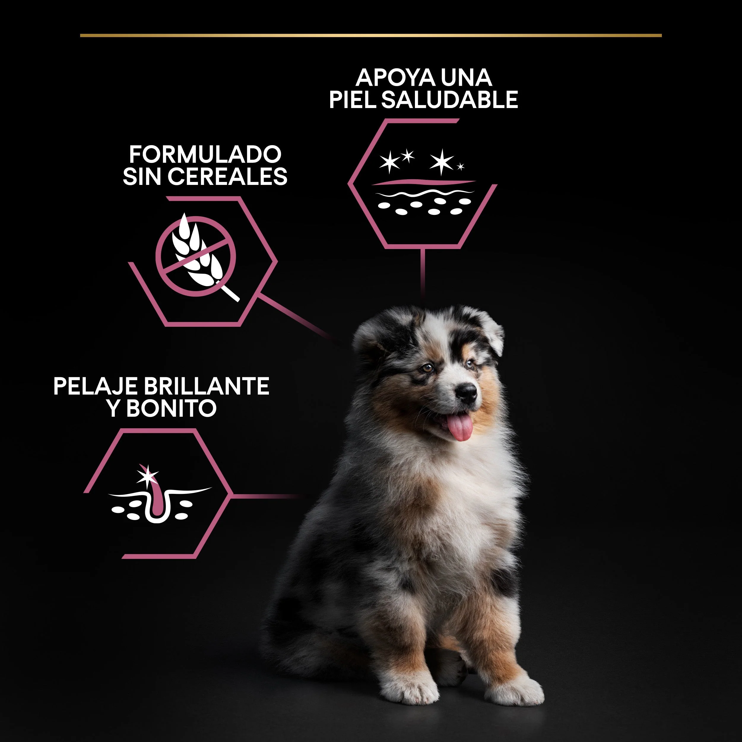 Pro Plan Dog Medium Puppy Sensitive Skin Salmón Pienso para Perros - Image 8
