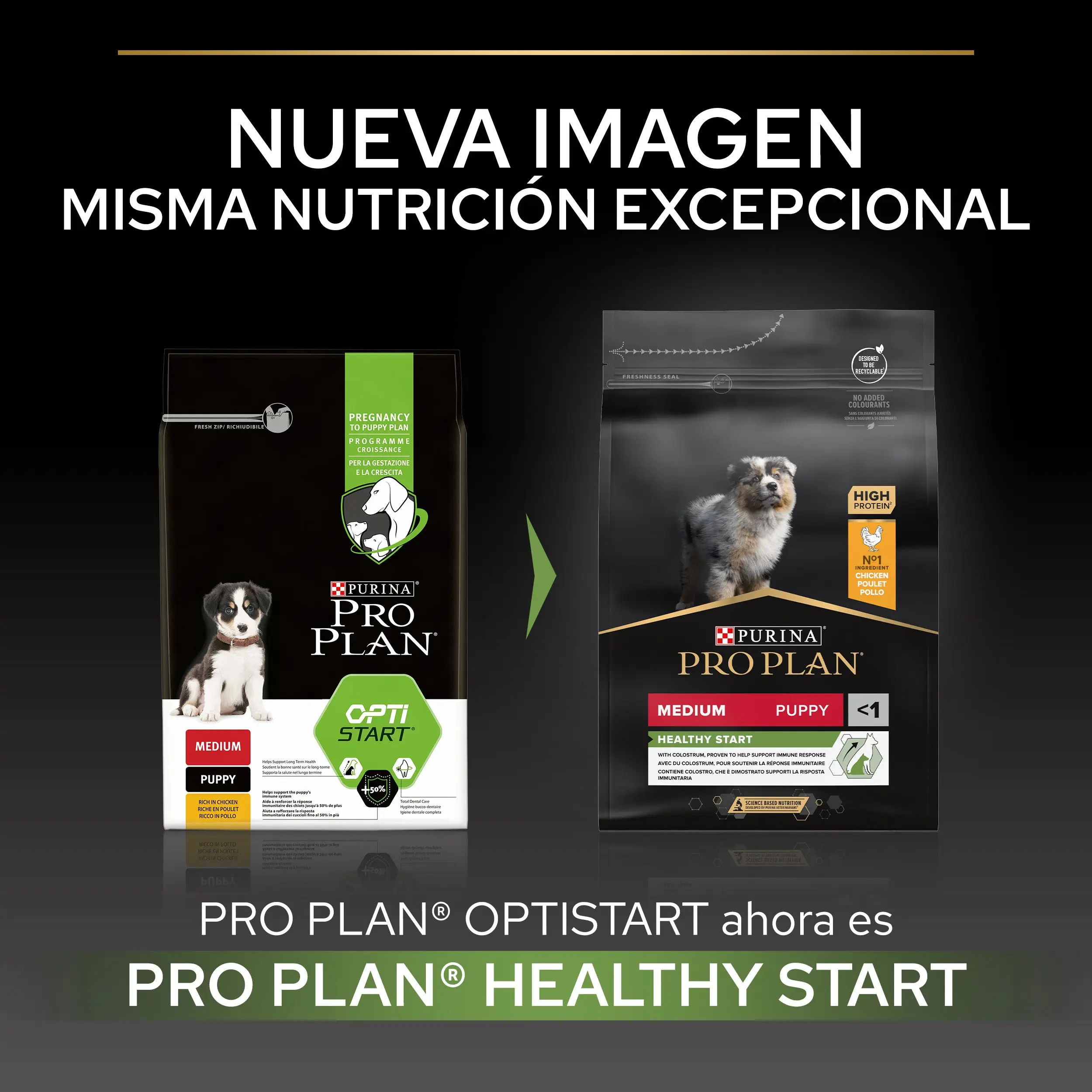 Pro Plan Dog Medium Puppy Start Pollo Pienso para Cachorros - Image 3