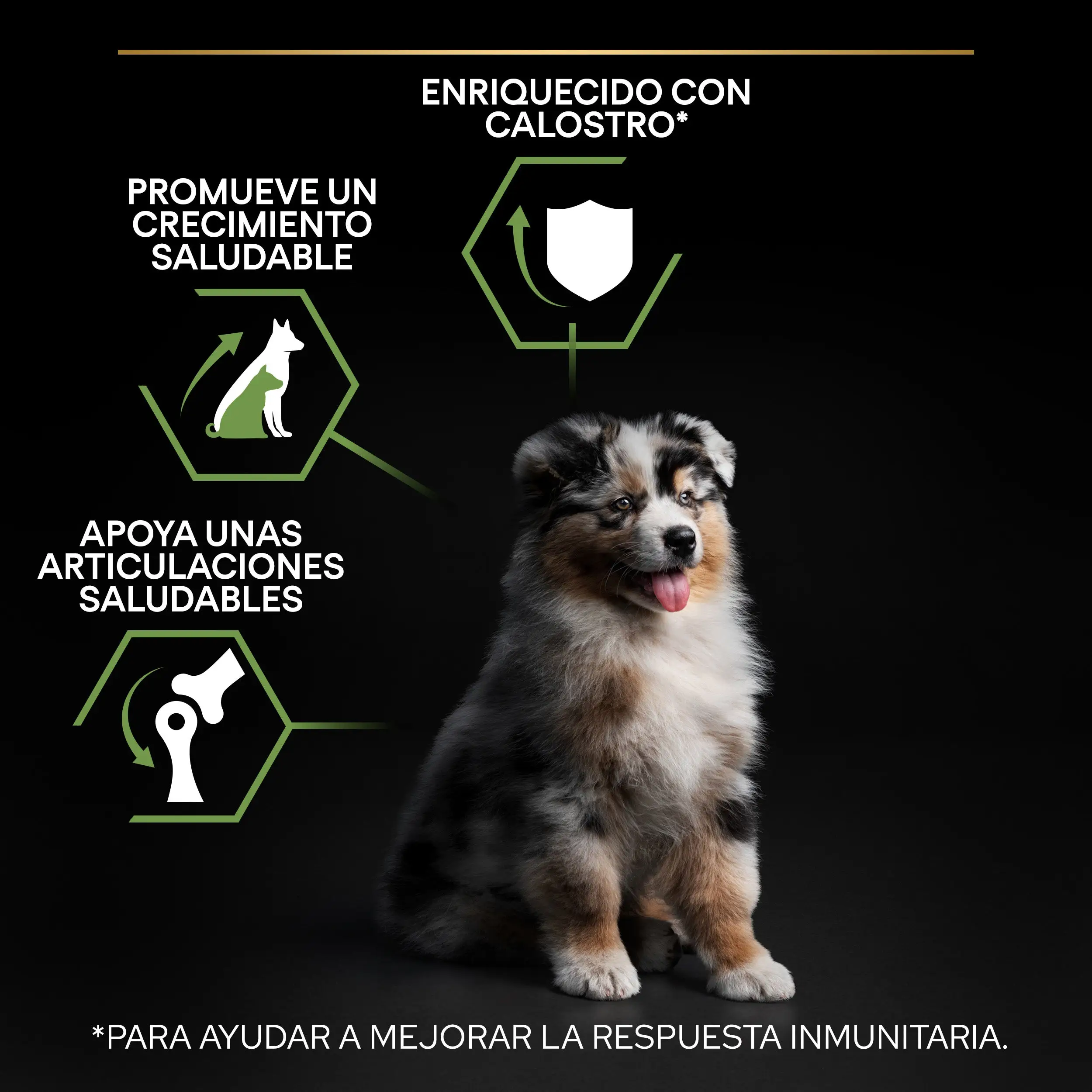 Pro Plan Dog Medium Puppy Start Pollo Pienso para Cachorros - Image 4