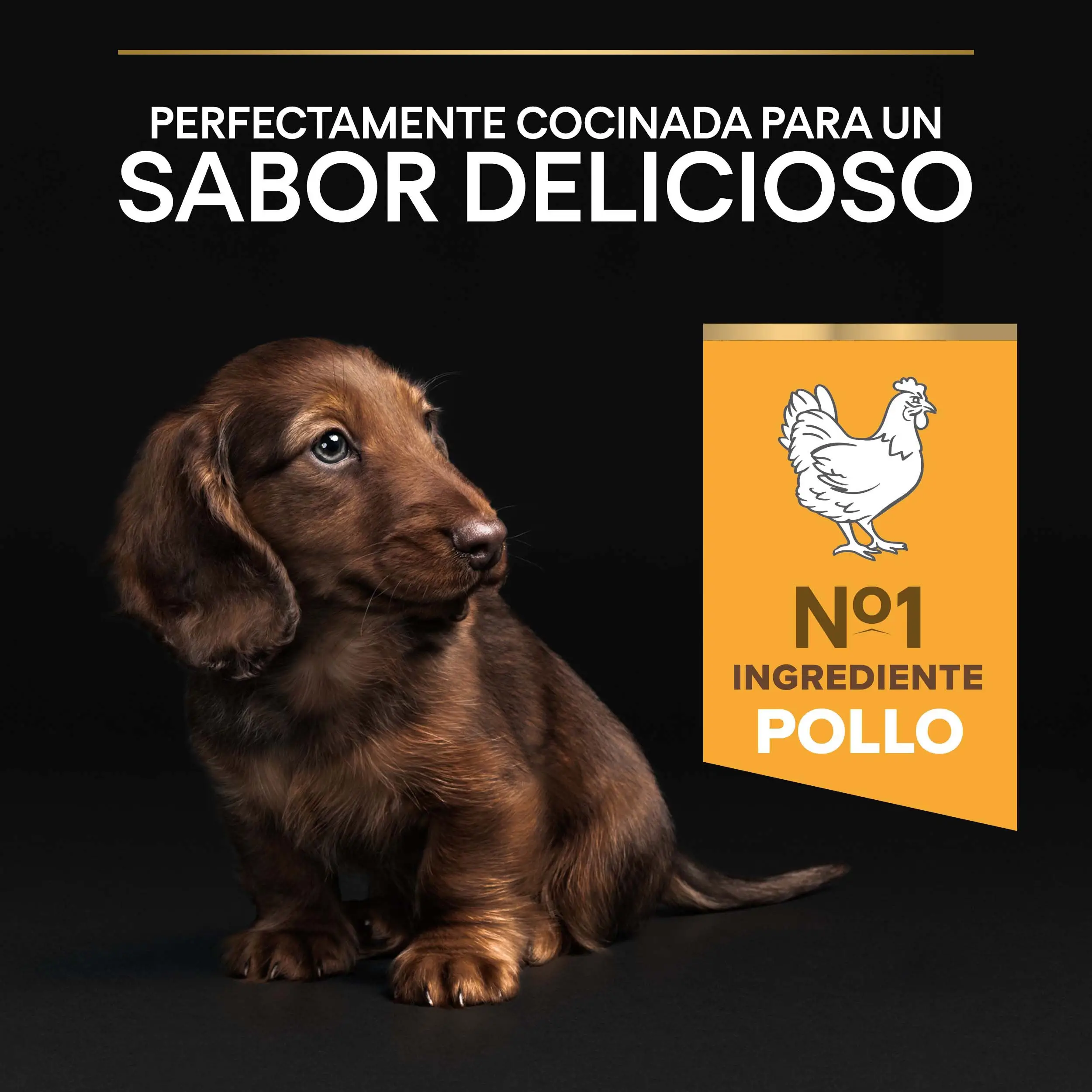 Pro Plan Dog Puppy Small & Mini Healthy Start Pollo Pienso para Cachorros - Image 4