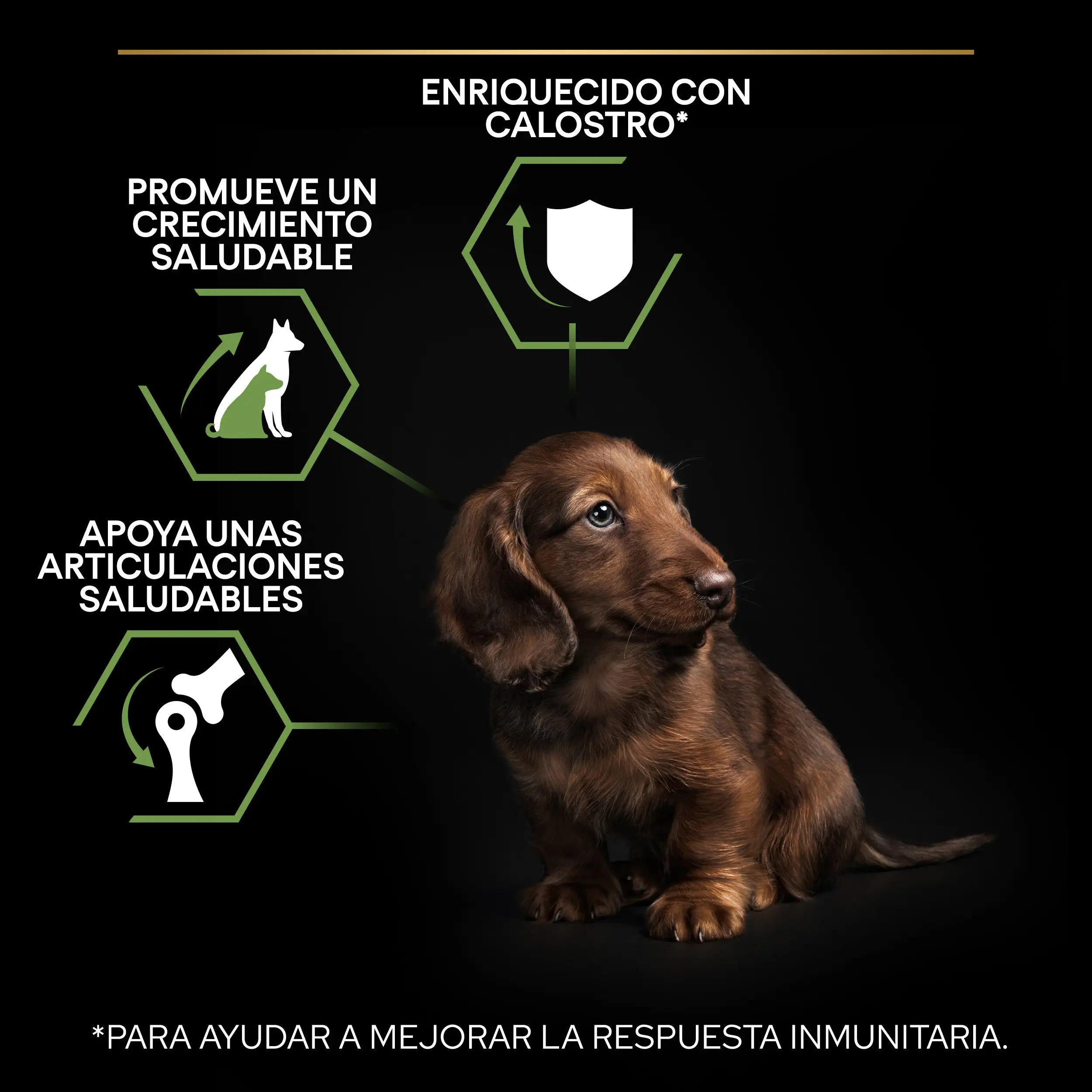 Pro Plan Dog Puppy Small & Mini Healthy Start Pollo Pienso para Cachorros - Image 7
