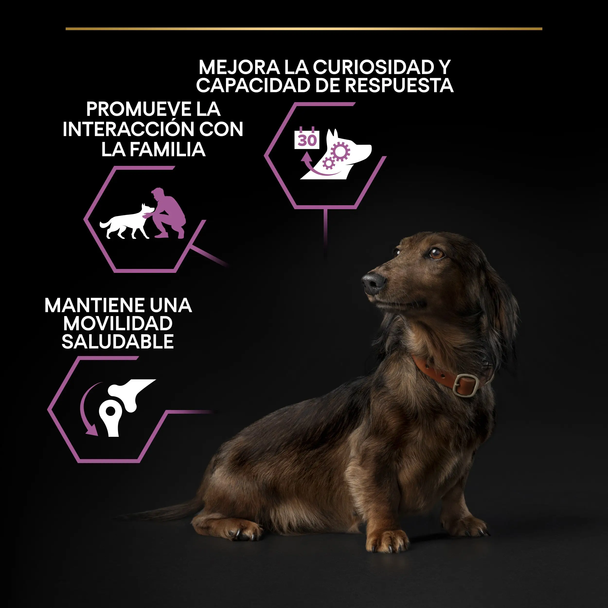 Pro Plan Dog Small Y Mini Adult Agedefen 9+ Pollo 3 kg - Image 4
