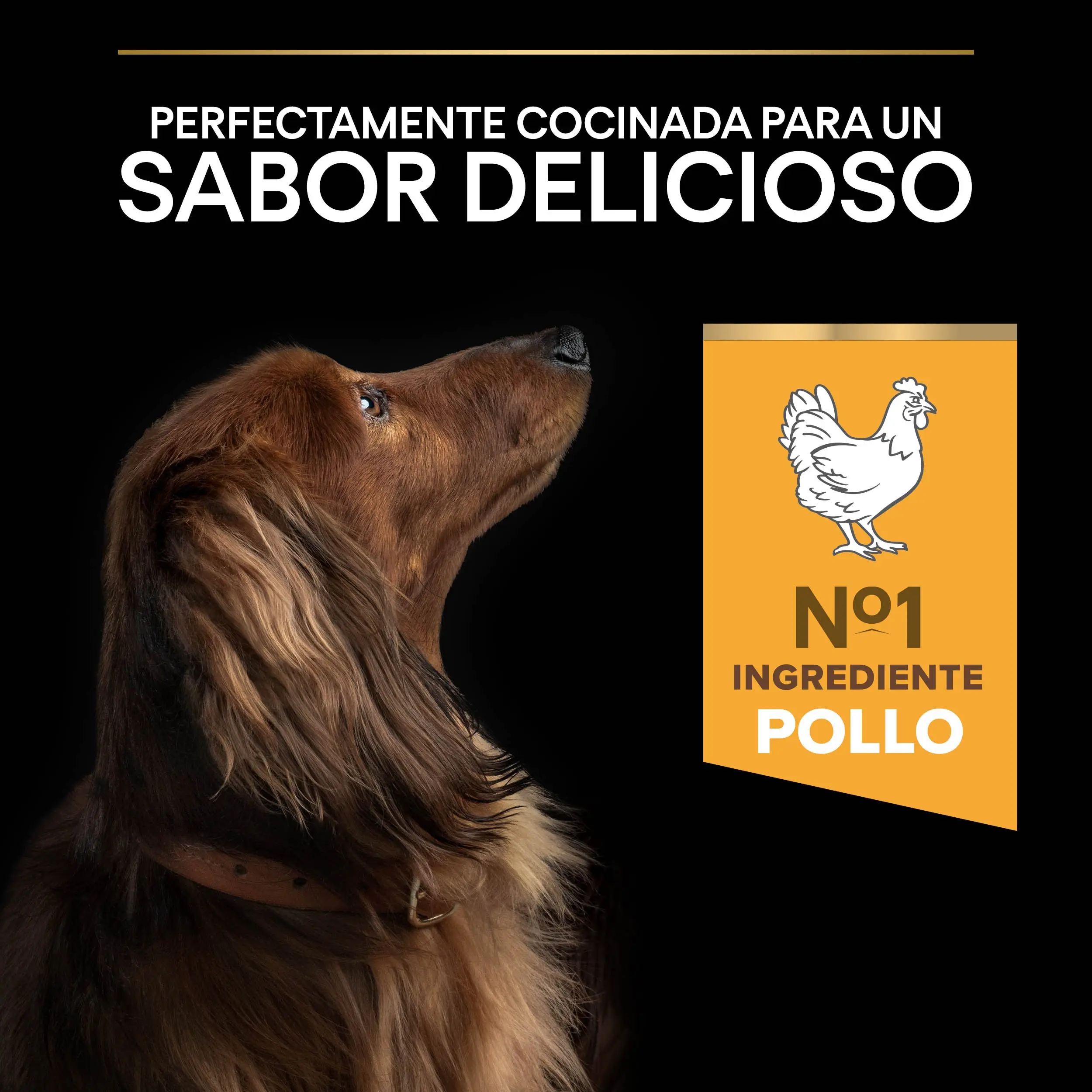 Pro Plan Dog Small Y Mini Adult Agedefen 9+ Pollo 3 kg - Image 8