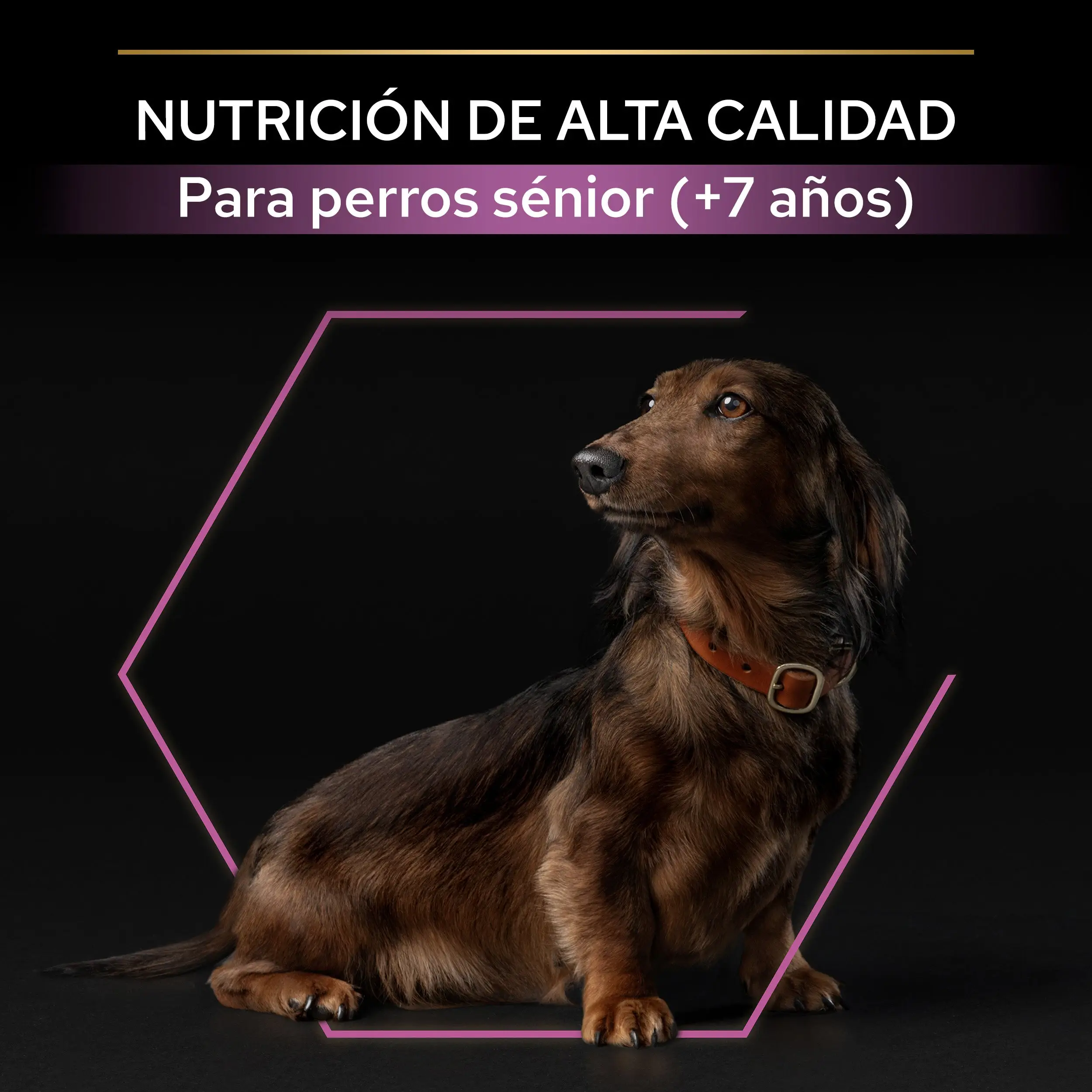 Pro Plan Dog Small Y Mini Adult Agedefen 9+ Pollo 3 kg - Image 9