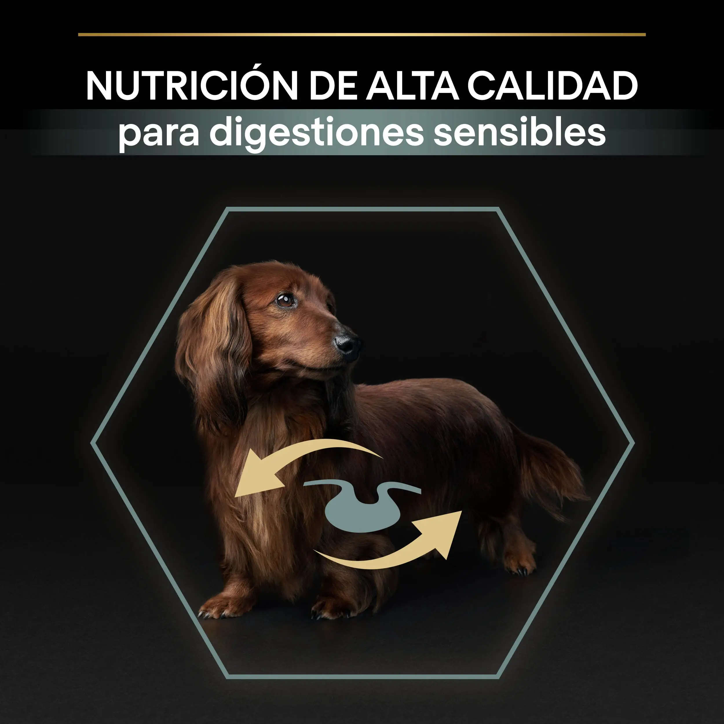 Pro Plan Dog Small y Mini Adult Digest Cordero Pienso para Perros - Image 5
