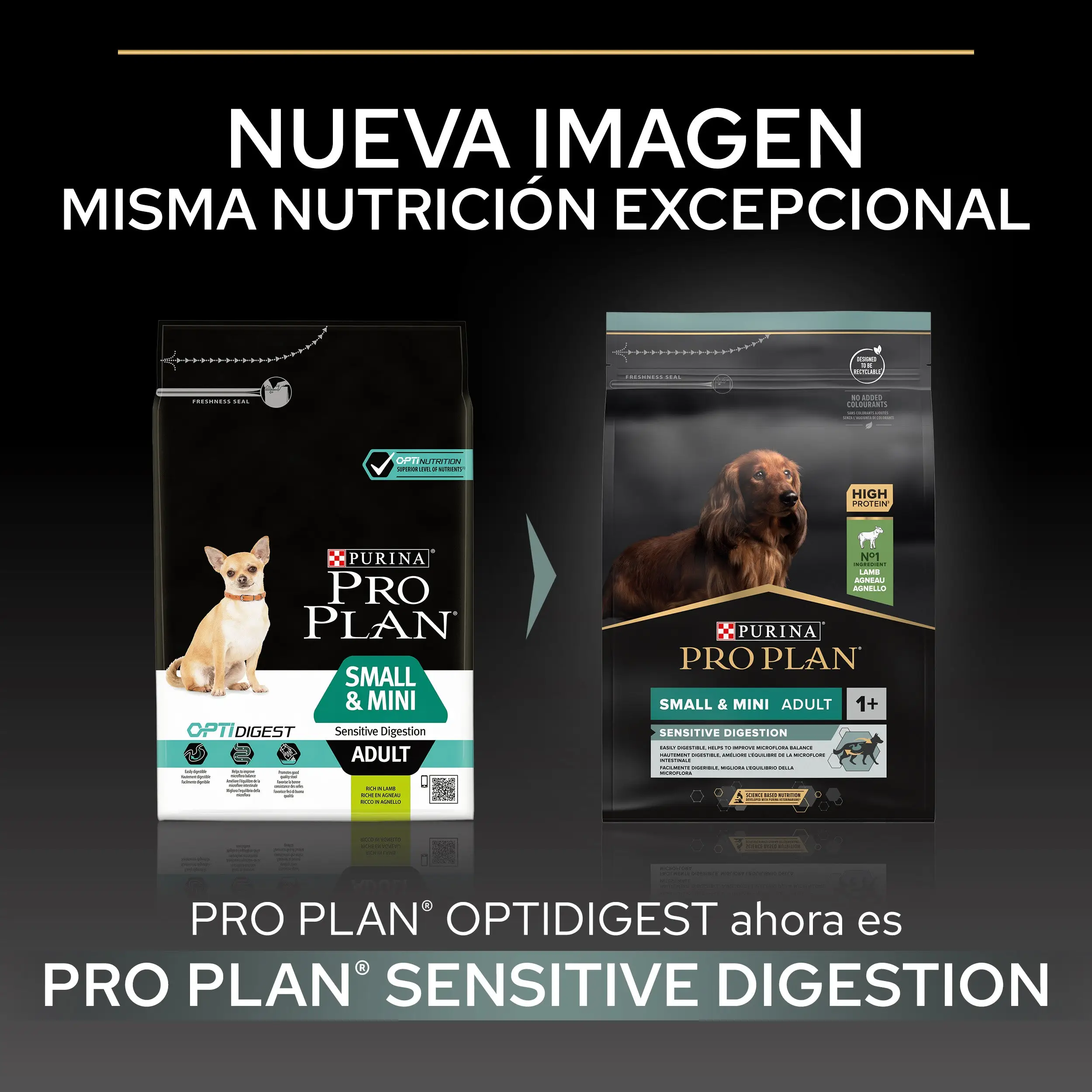 Pro Plan Dog Small y Mini Adult Digest Cordero Pienso para Perros - Image 7