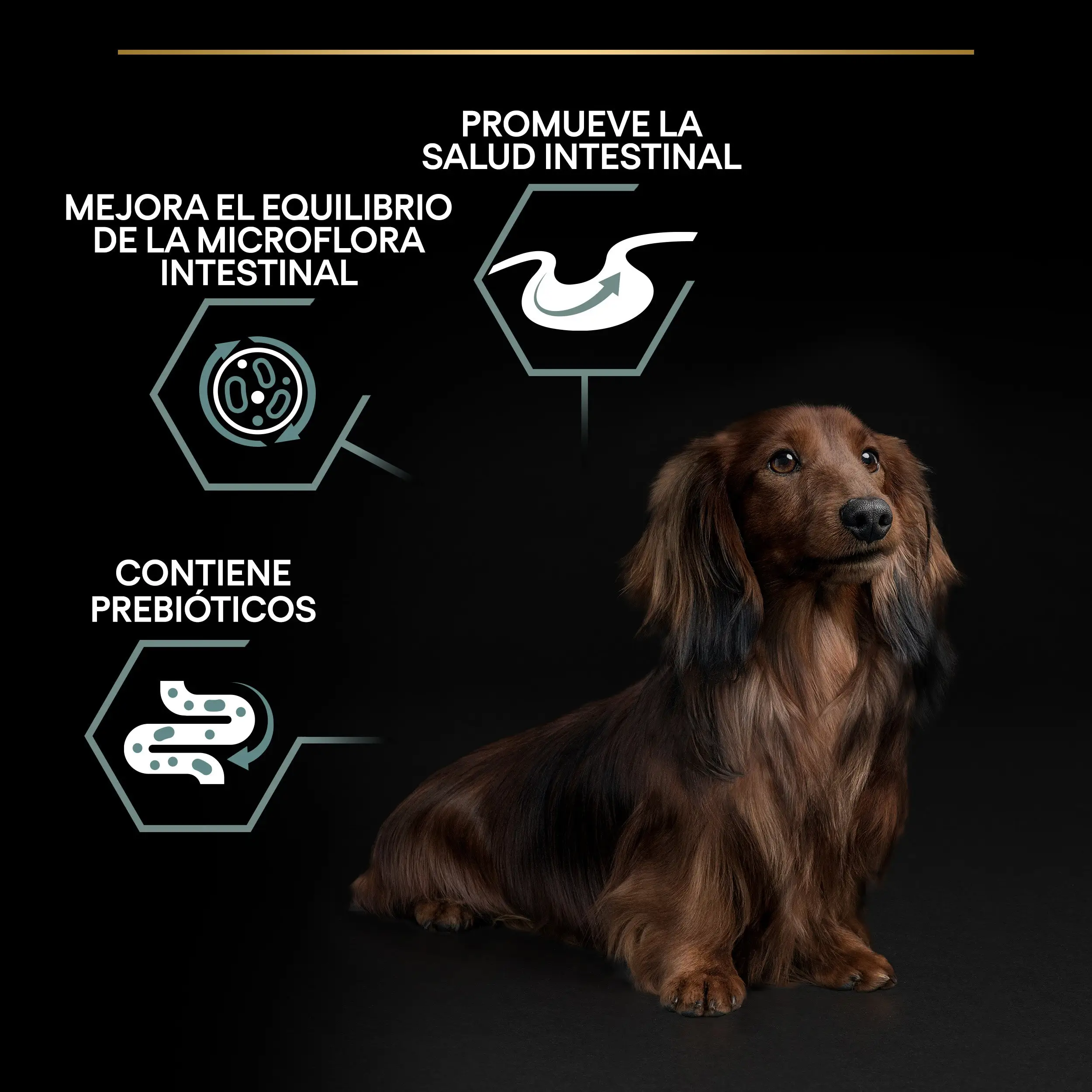 Pro Plan Dog Small y Mini Adult Digest Cordero Pienso para Perros - Image 8
