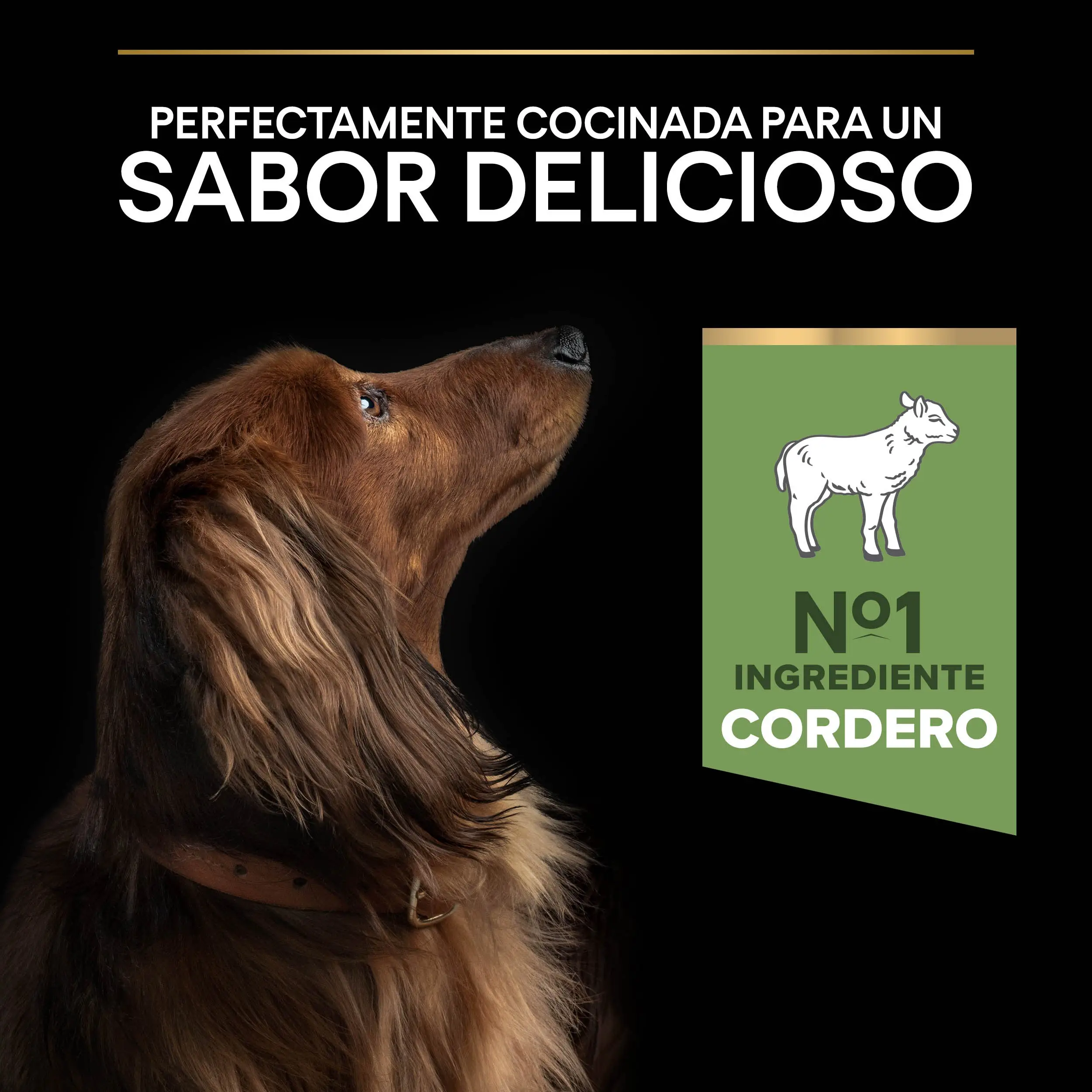 Pro Plan Dog Small & Mini Adult Digest Cordero Pienso para Perros - Image 7