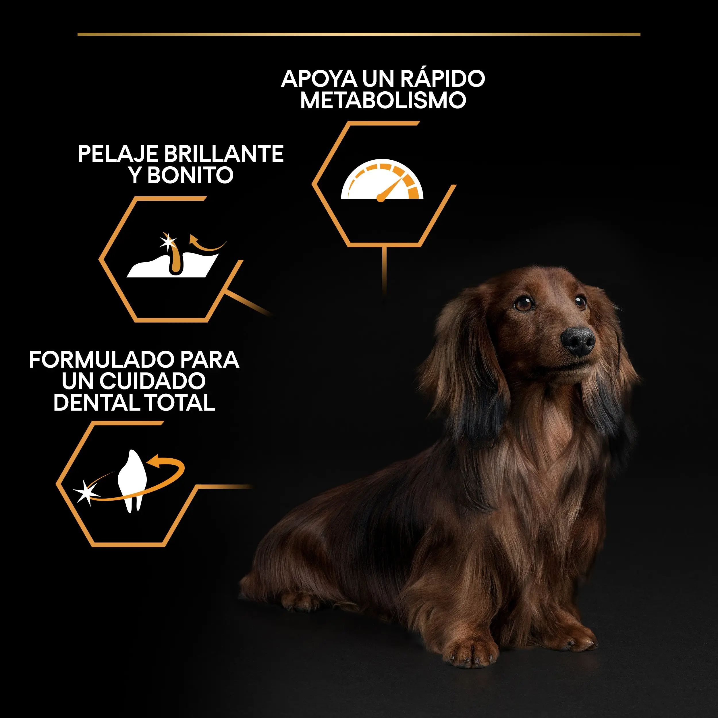 Pro Plan Dog Small y Mini Adult Pollo Pienso para Perros - Image 4