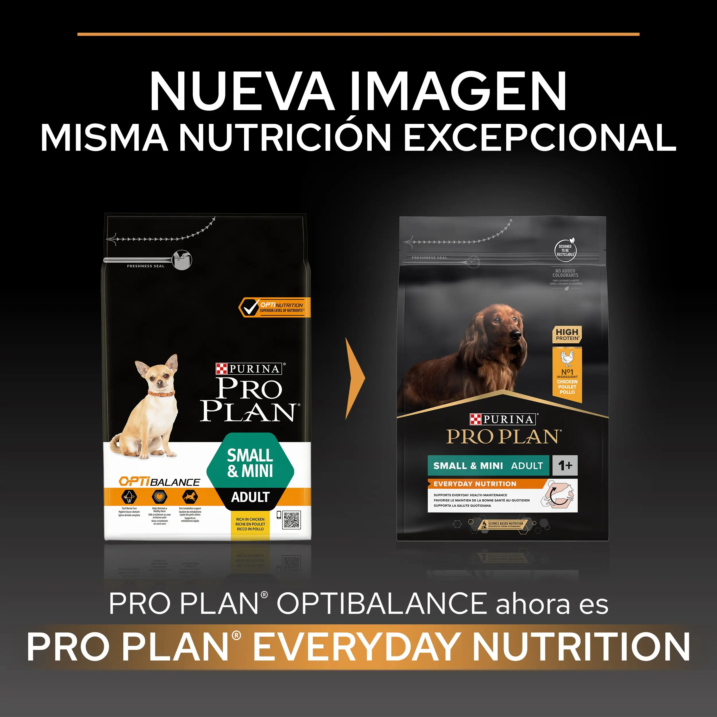 Pro Plan Dog Small & Mini Adult Pollo Pienso para Perros - Image 3