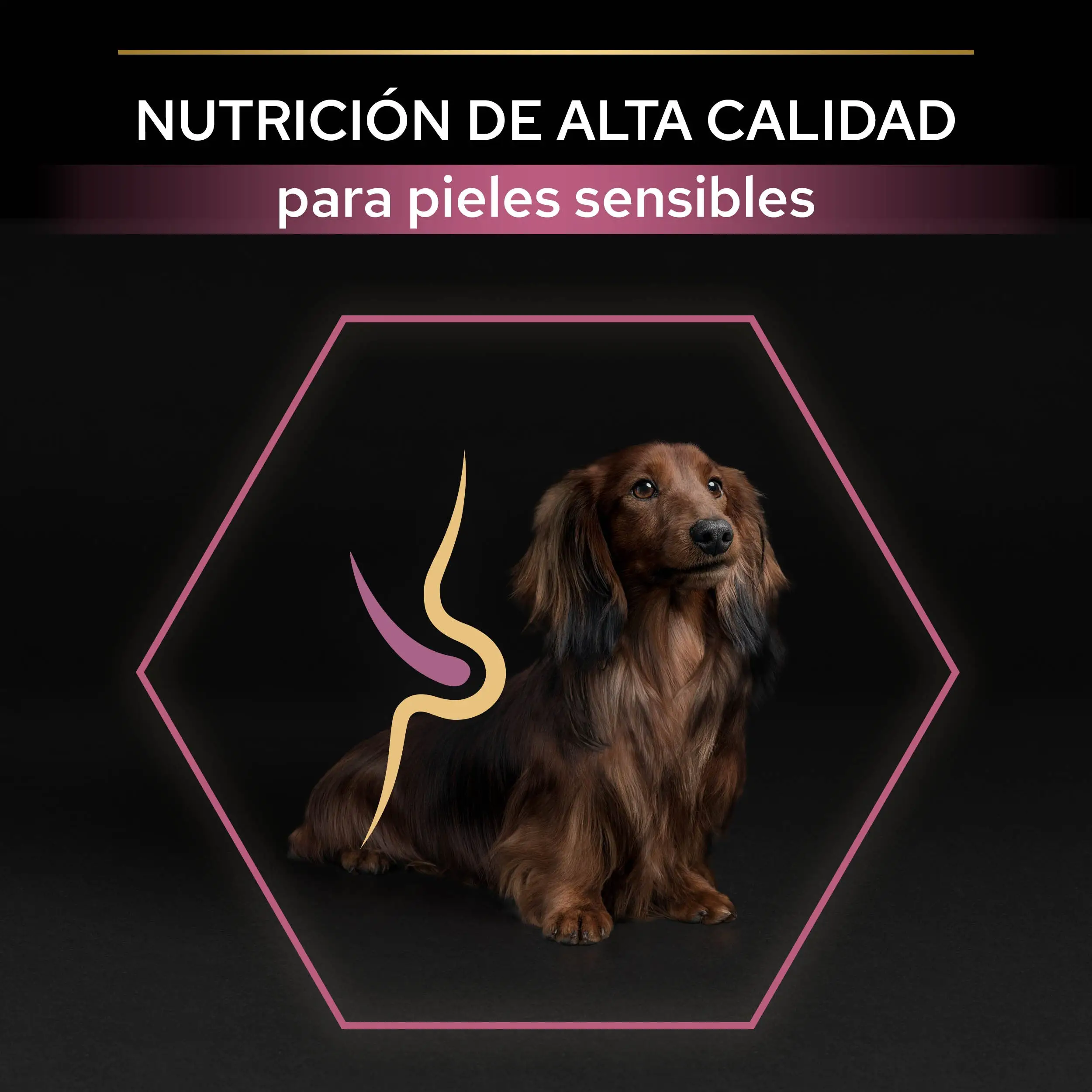 Pro Plan Dog Small y Mini Adult Skin Salmón Pienso para Perros - Image 5