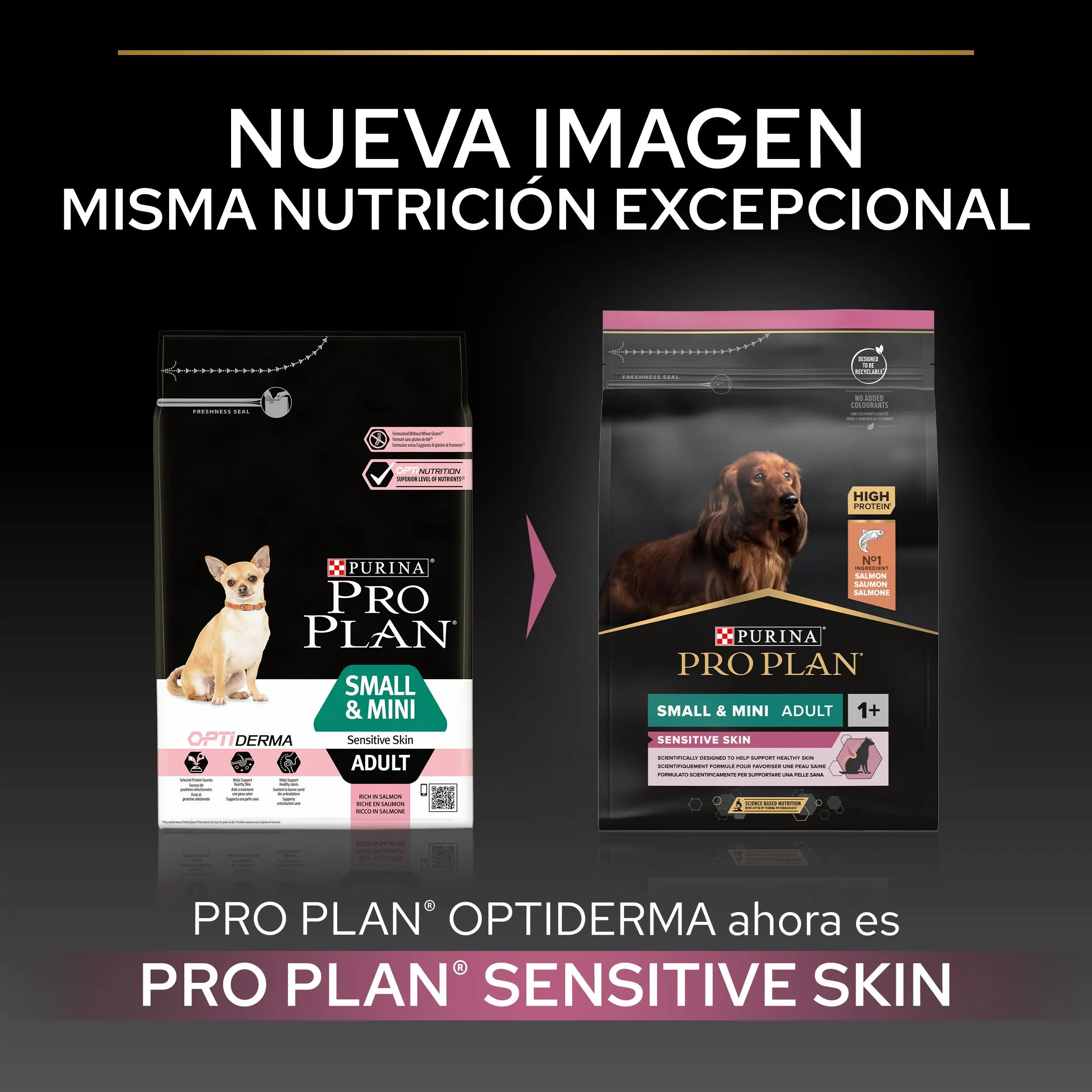 Pro Plan Dog Small y Mini Adult Skin Salmón Pienso para Perros - Image 7