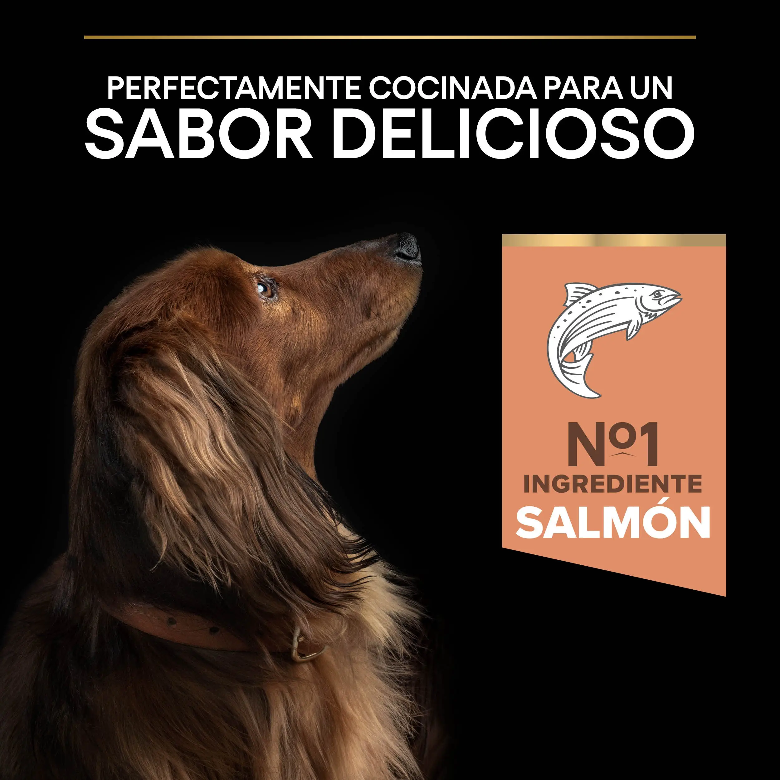 Pro Plan Small & Mini Adult Sensitive Skin Salmón Pienso para Perros - Image 6