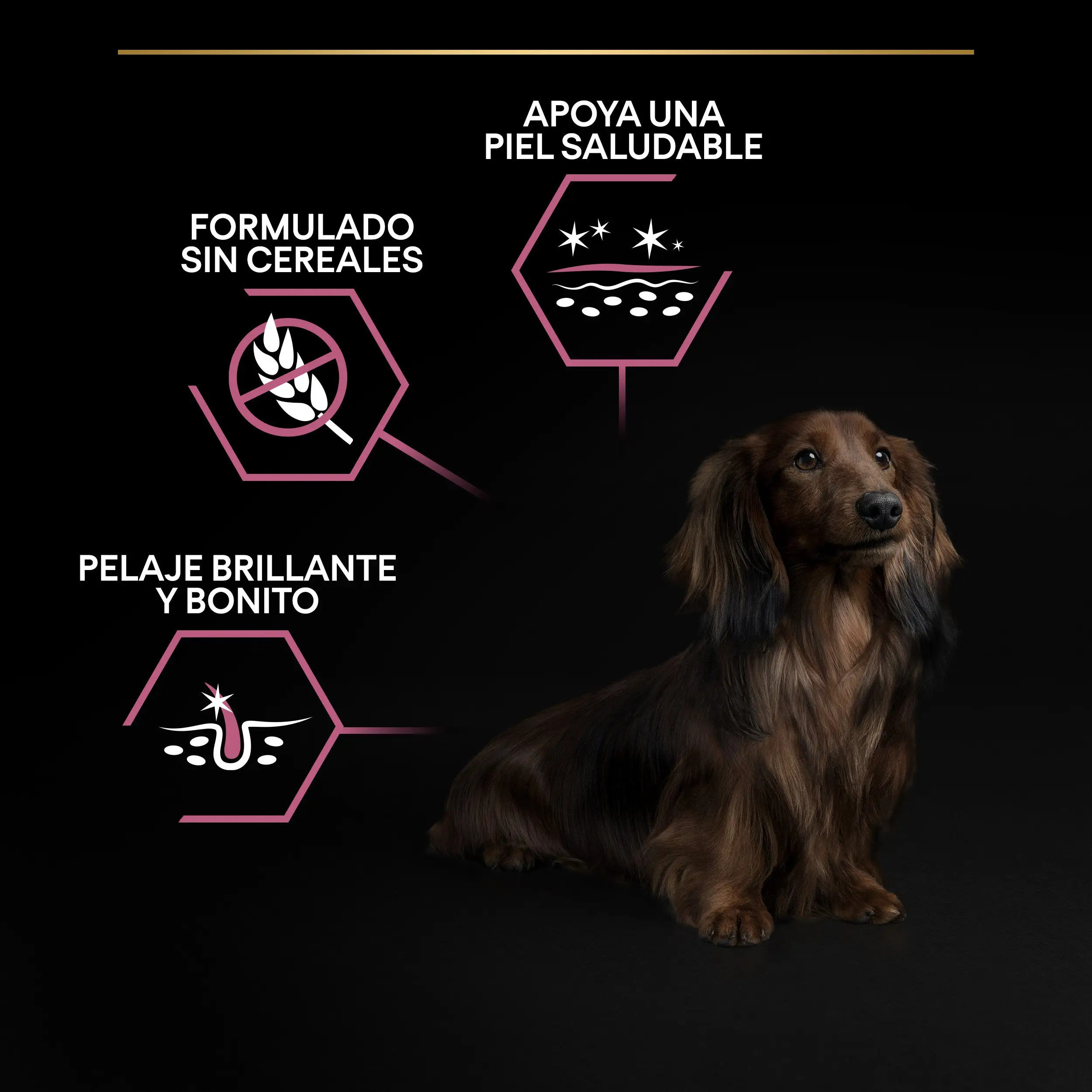 Pro Plan Small & Mini Adult Sensitive Skin Salmón Pienso para Perros - Image 9