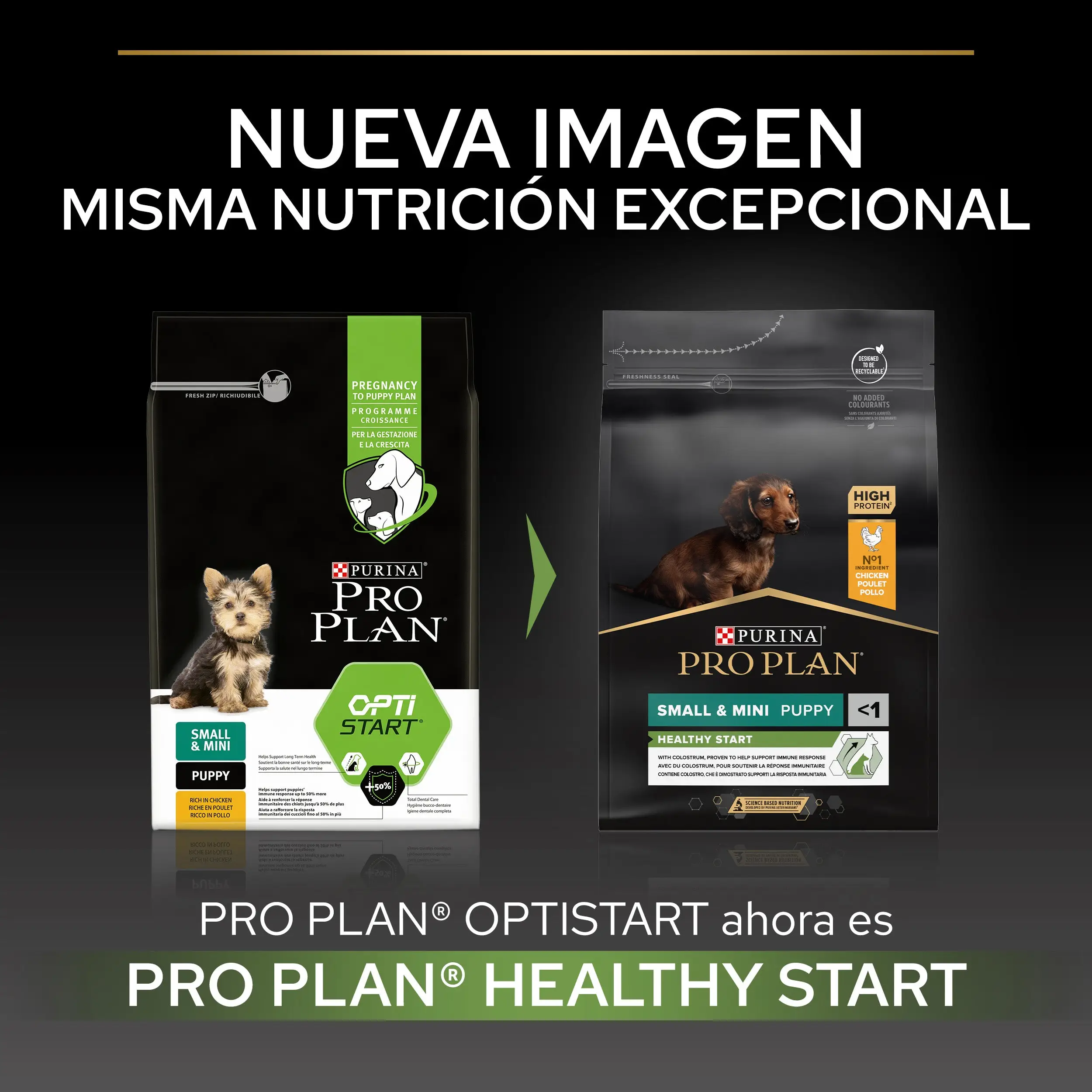 Pro Plan Dog Puppy Small y Mini Start Pollo Pienso para Cachorros - Image 3