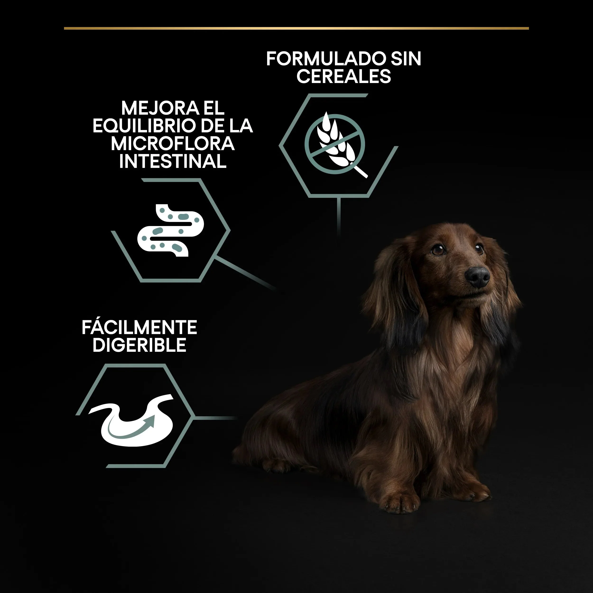 Pro Plan Small & Mini Adult Digest Grain Free Pavo Pienso para Perros - Image 5